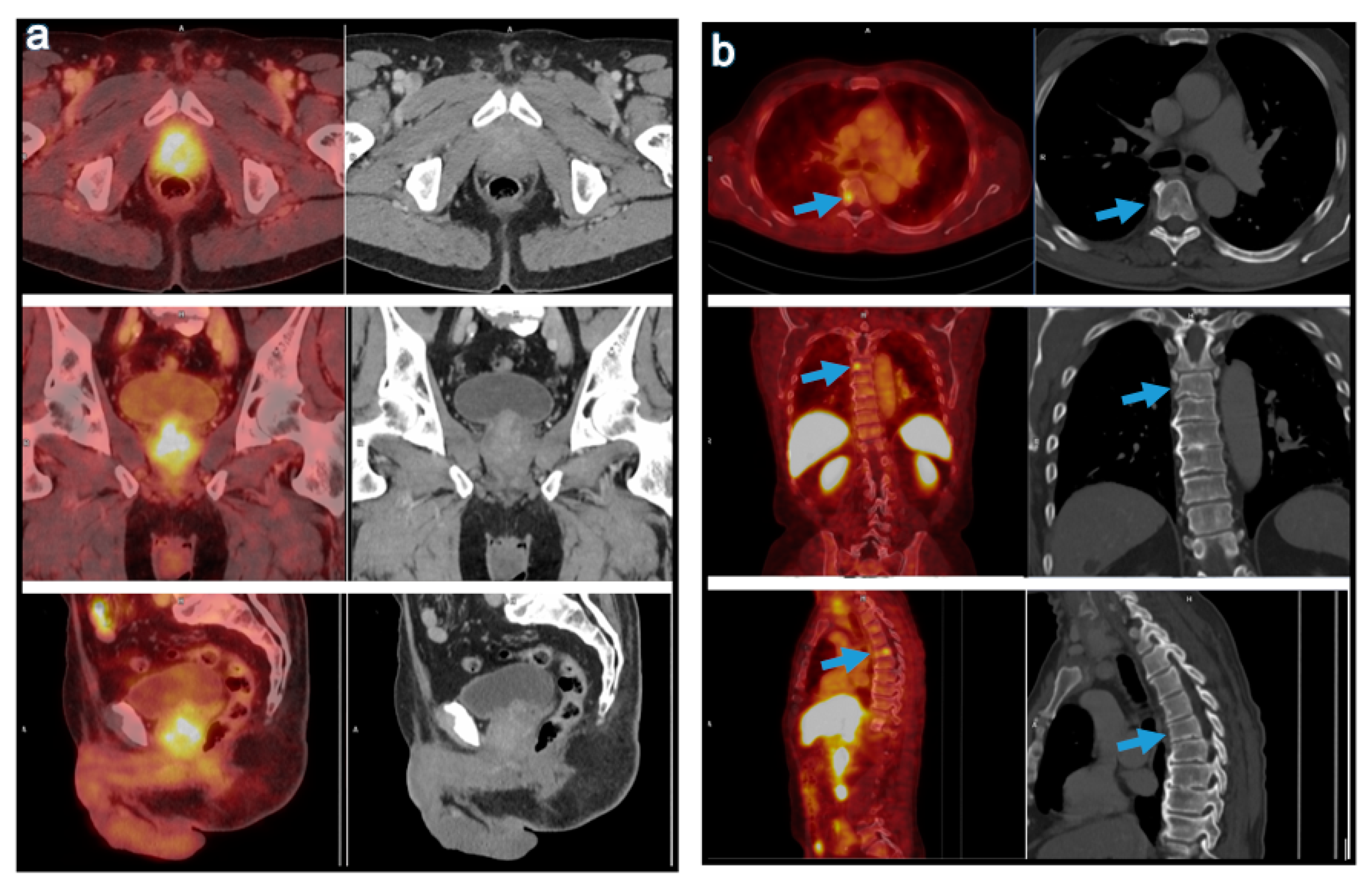 Curroncol 28 00353 g002