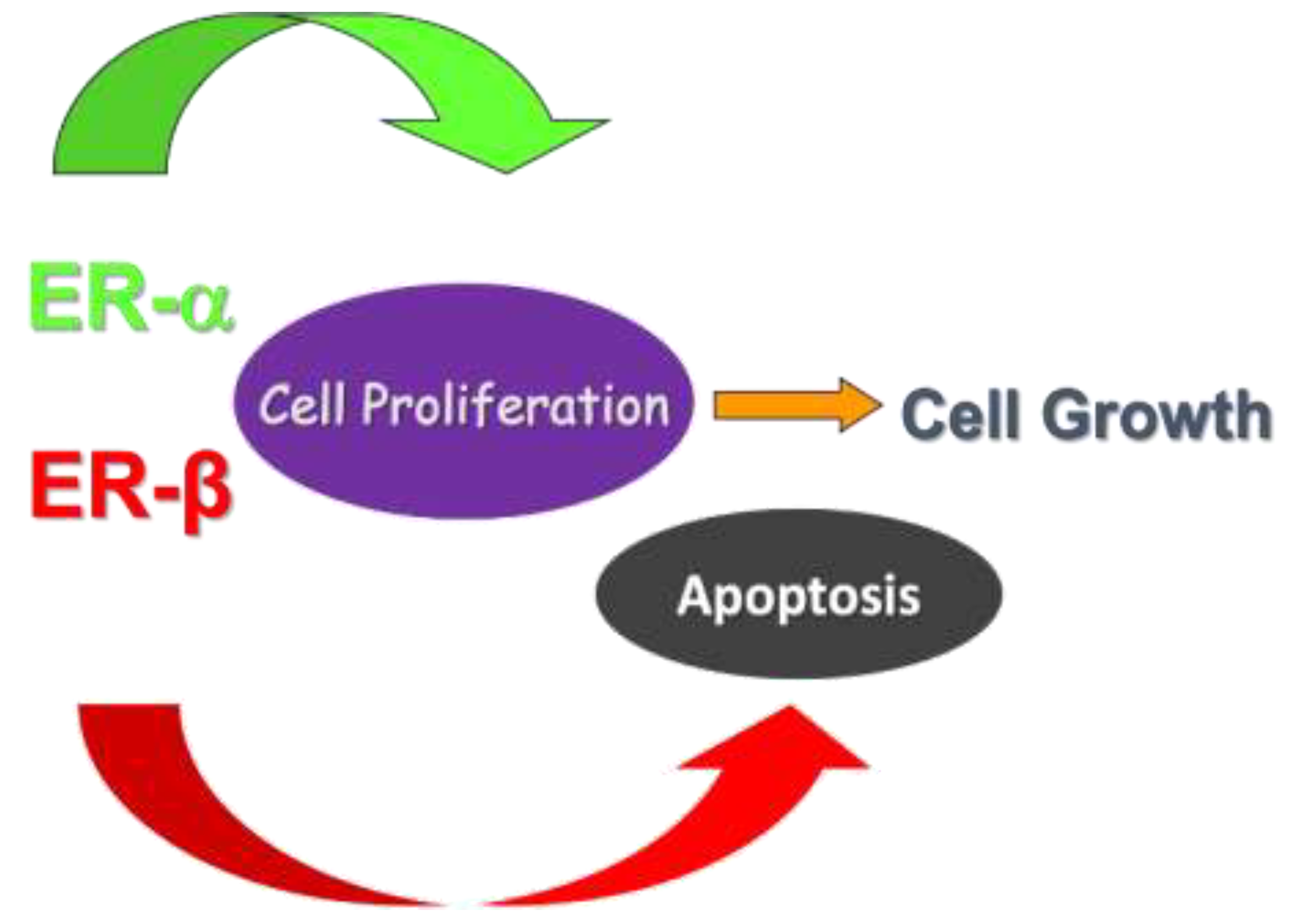 Curroncol 28 00361 g001 Curroncol 28 00361 g001