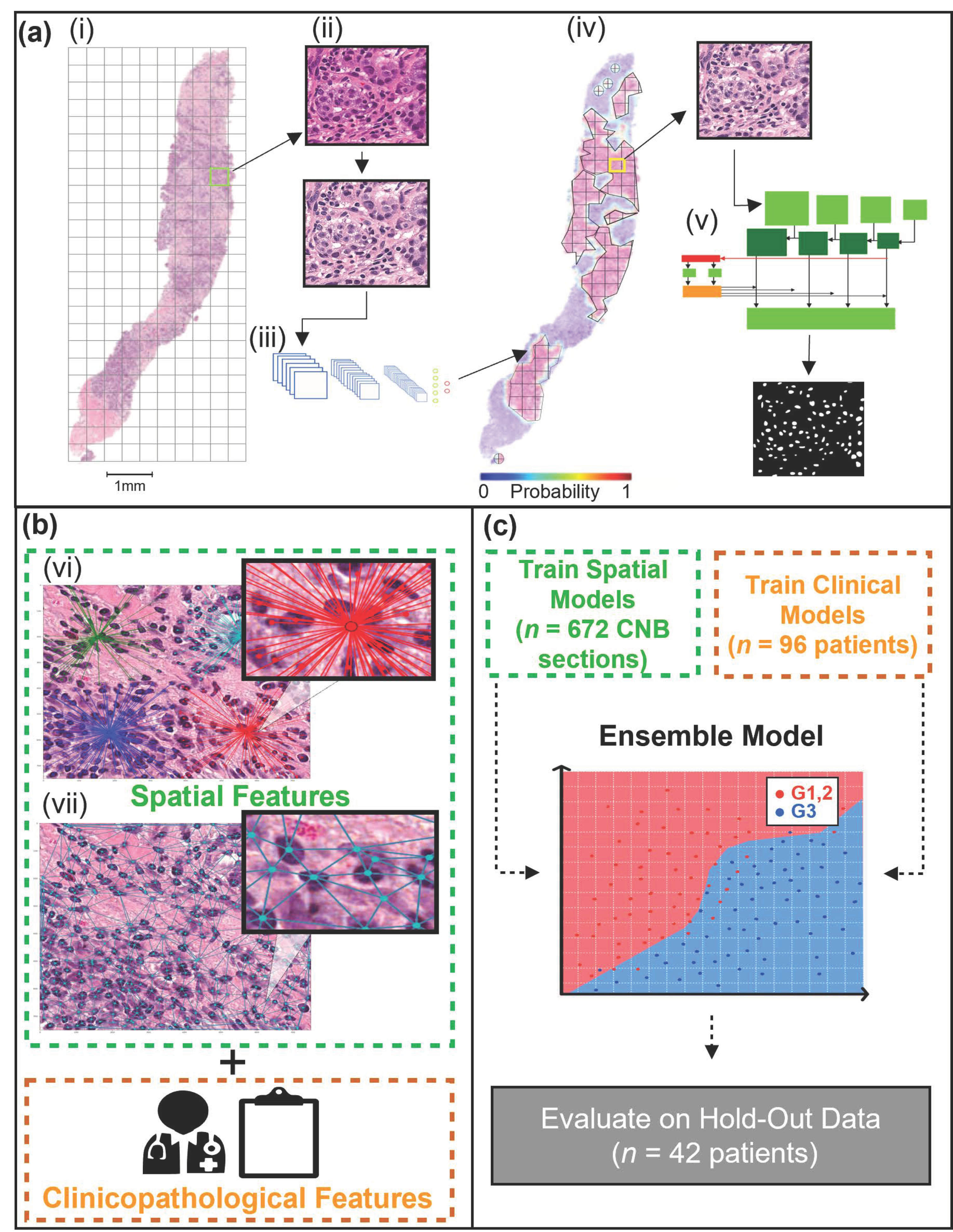Curroncol 28 00366 g001