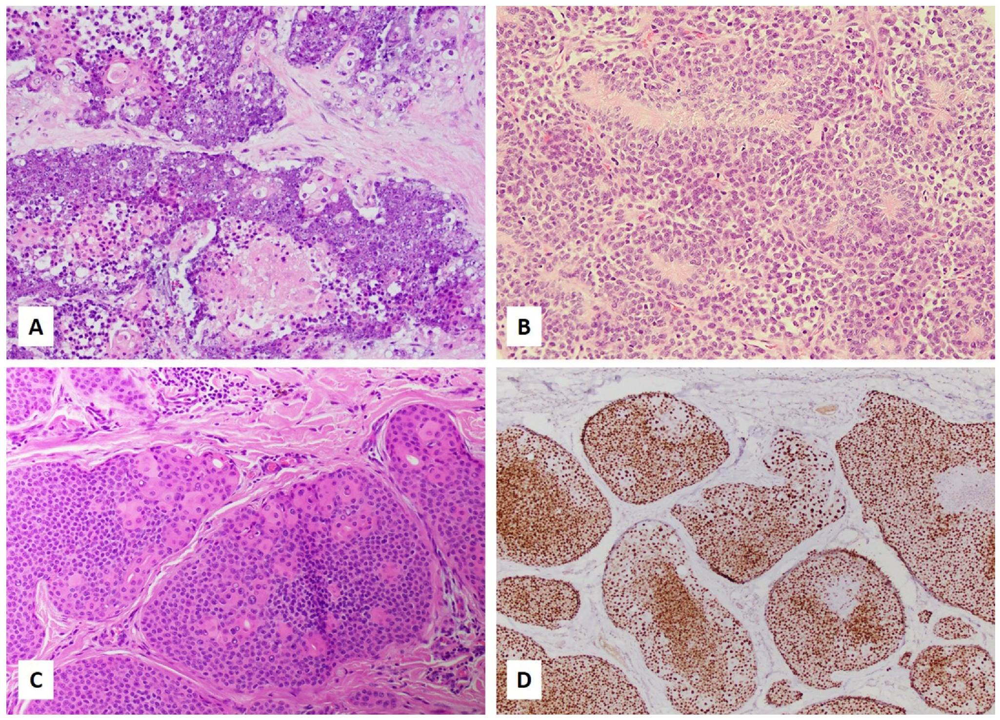 Curroncol 28 00381 g001