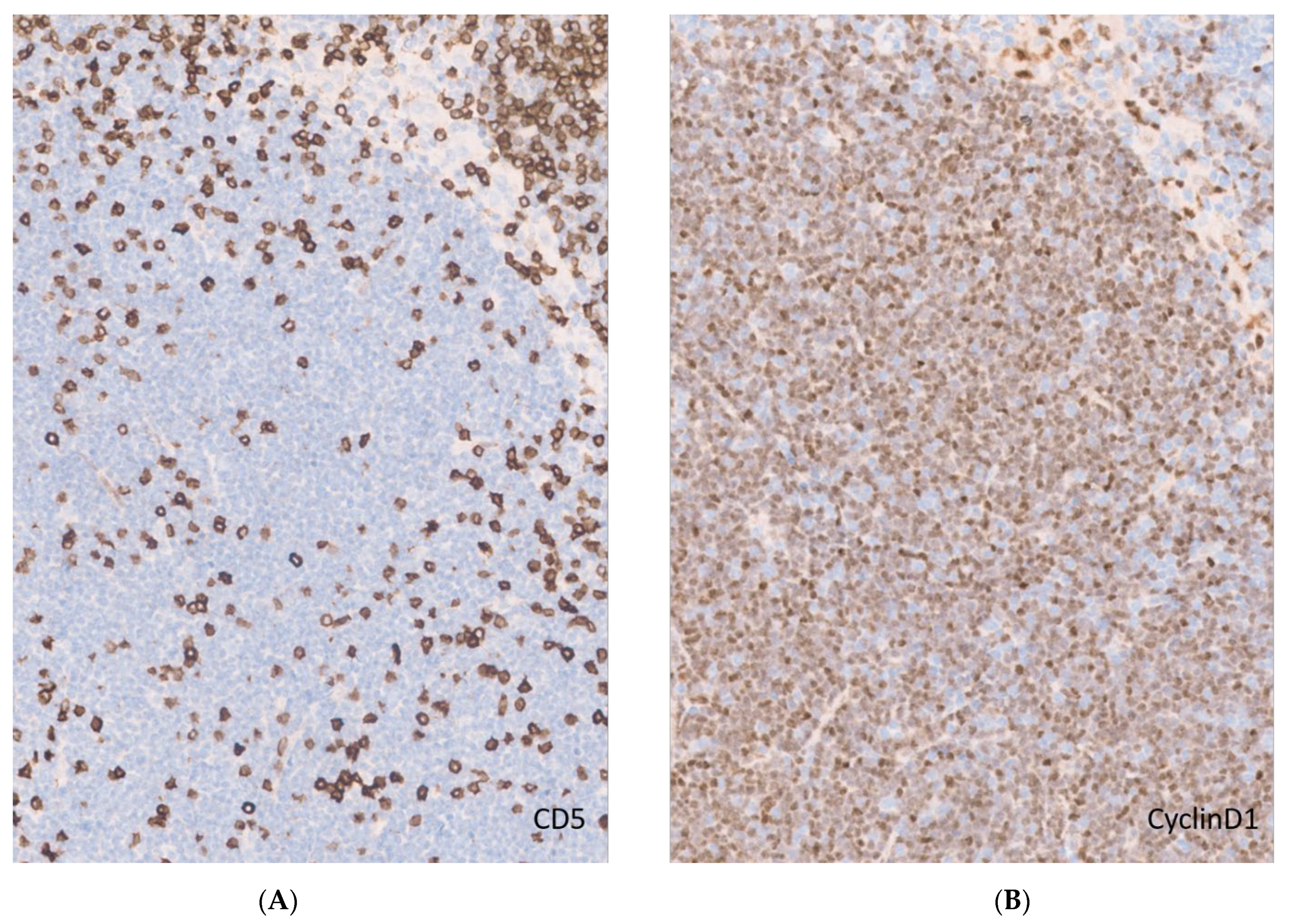 Curroncol 28 00390 g002 Curroncol 28 00390 g002