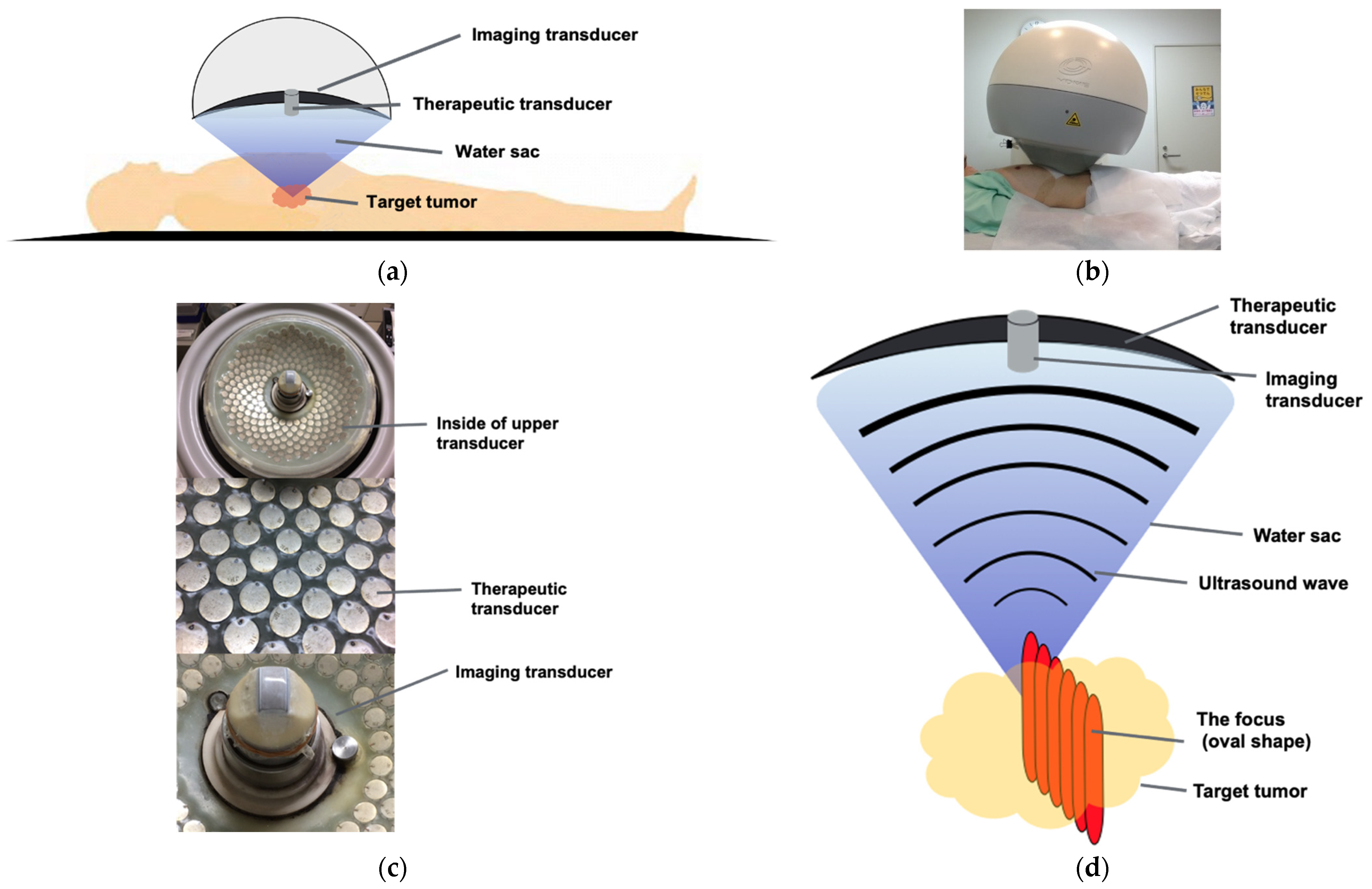 Curroncol 28 00409 g007 Curroncol 28 00409 g007