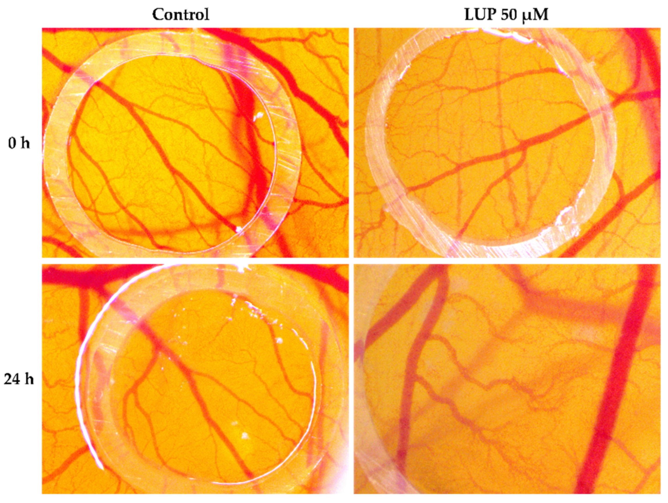 Curroncol 28 00425 g007 Curroncol 28 00425 g007