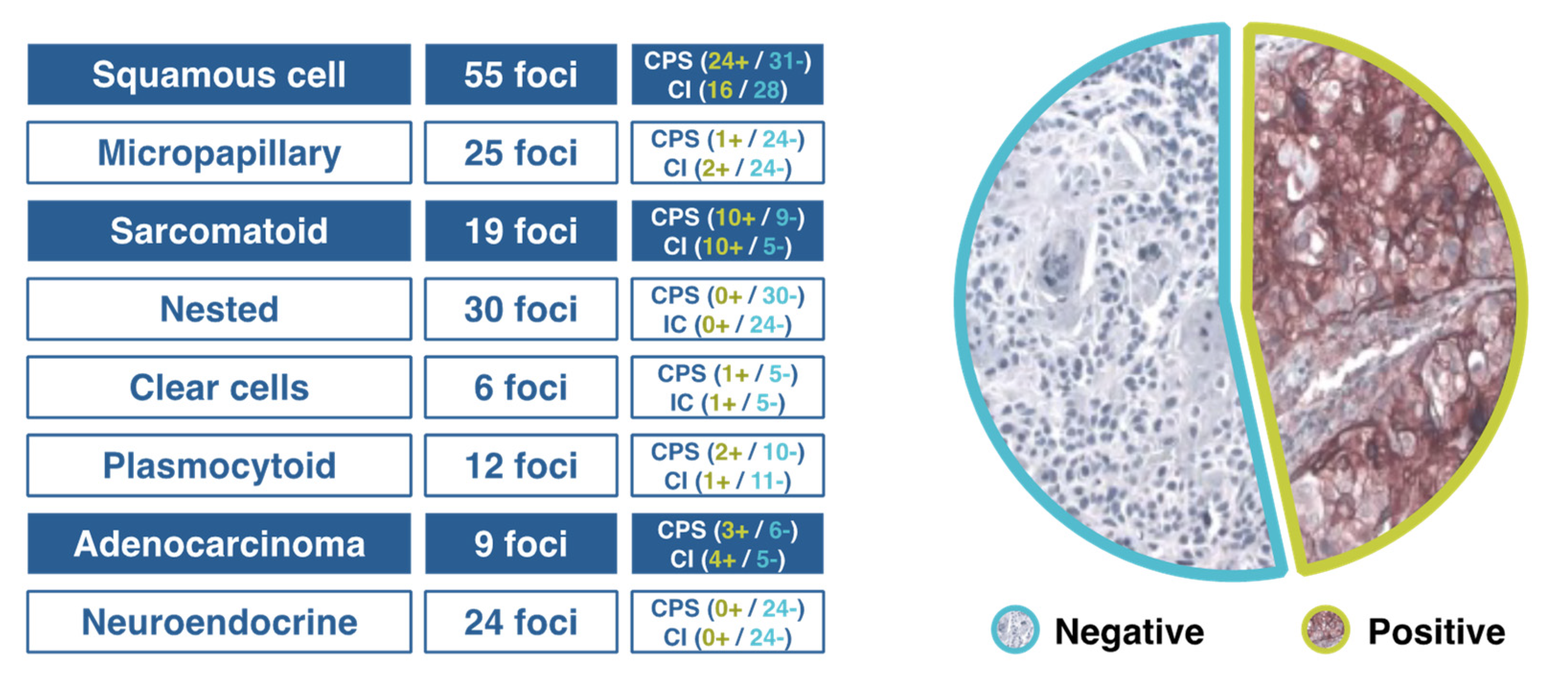 Curroncol 28 00428 g001