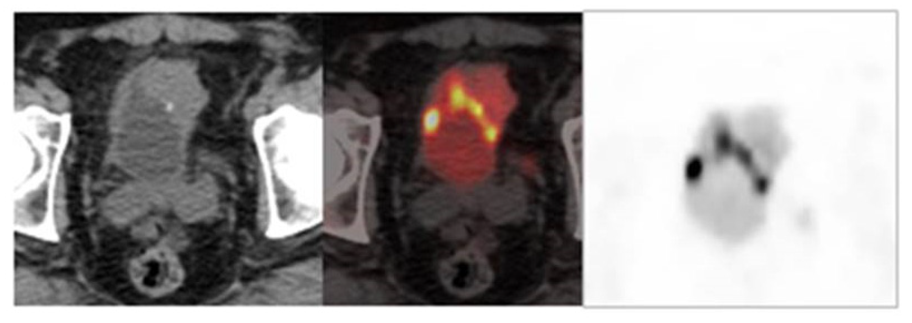 Curroncol 28 00428 g002