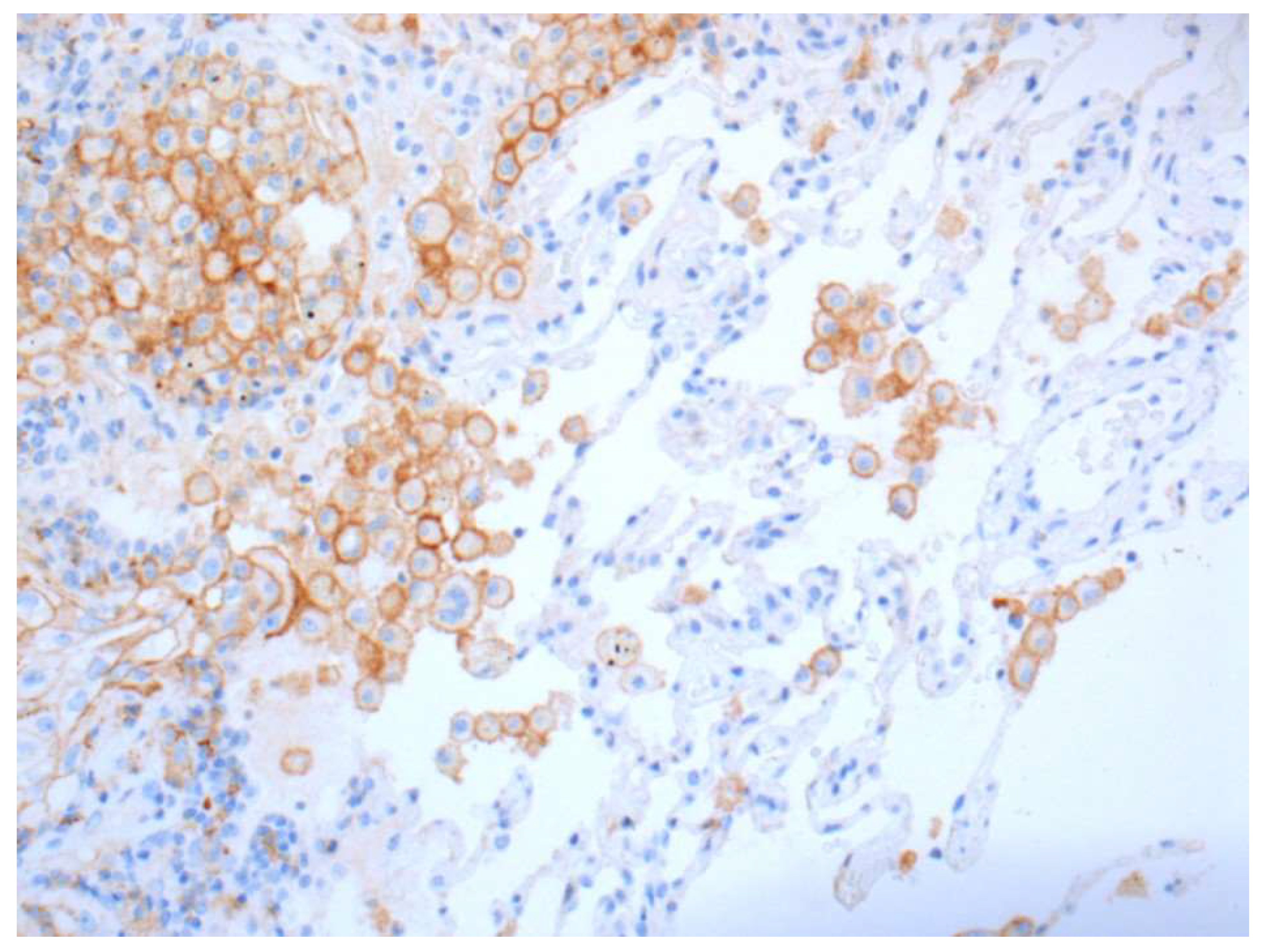 Curroncol 28 00437 g004 550