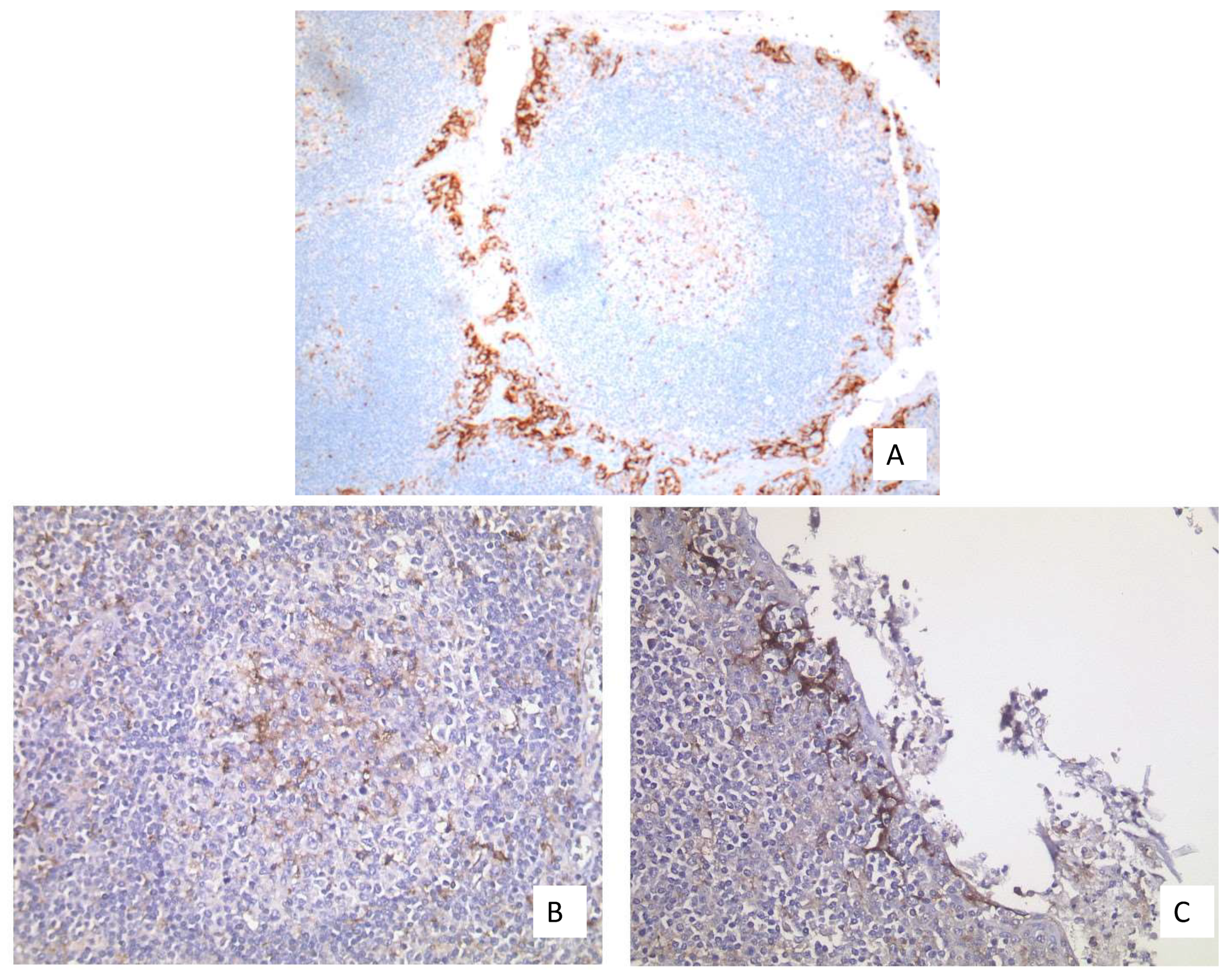 Curroncol 28 00437 g006 550