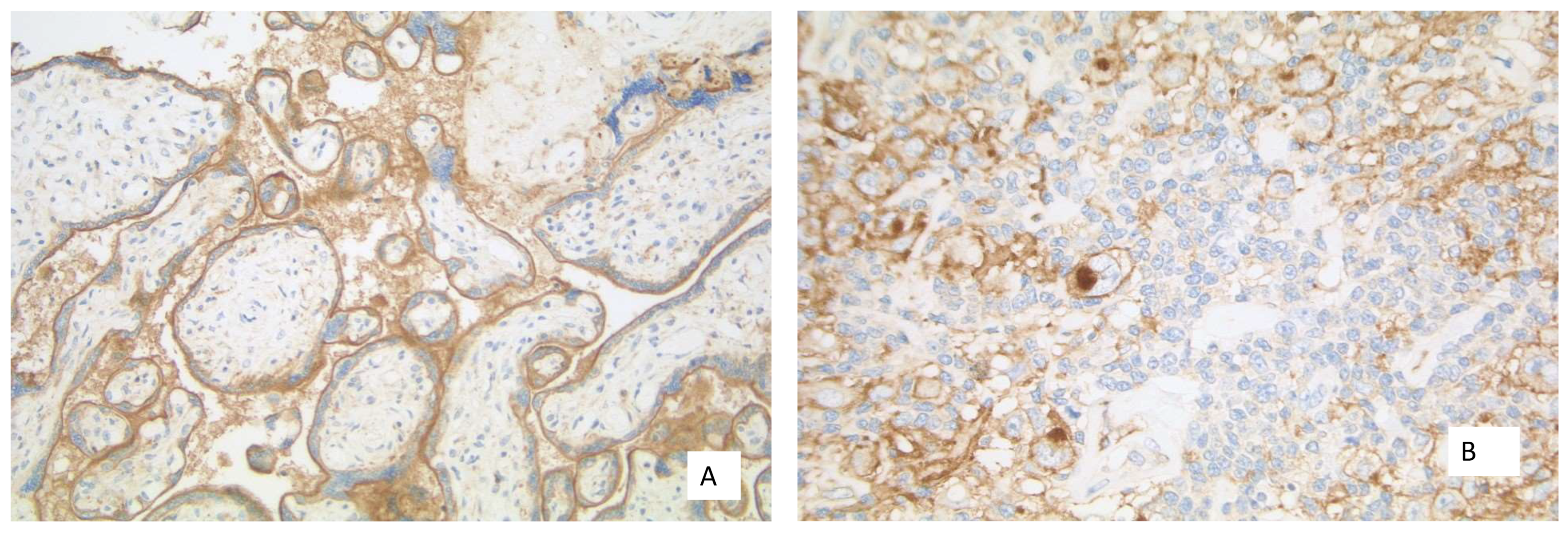 Curroncol 28 00437 g007 550