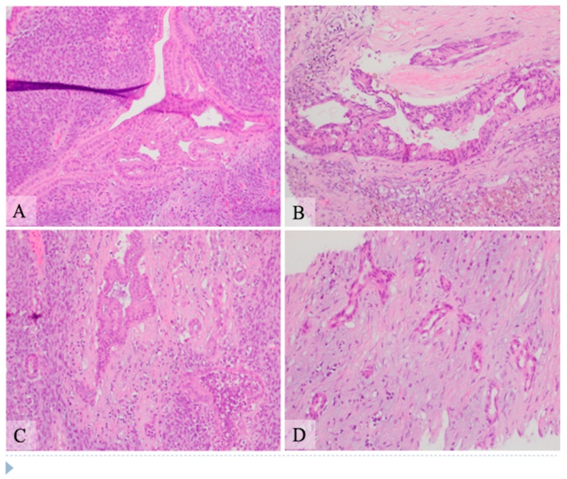 Curroncol 28 00442 g002 550
