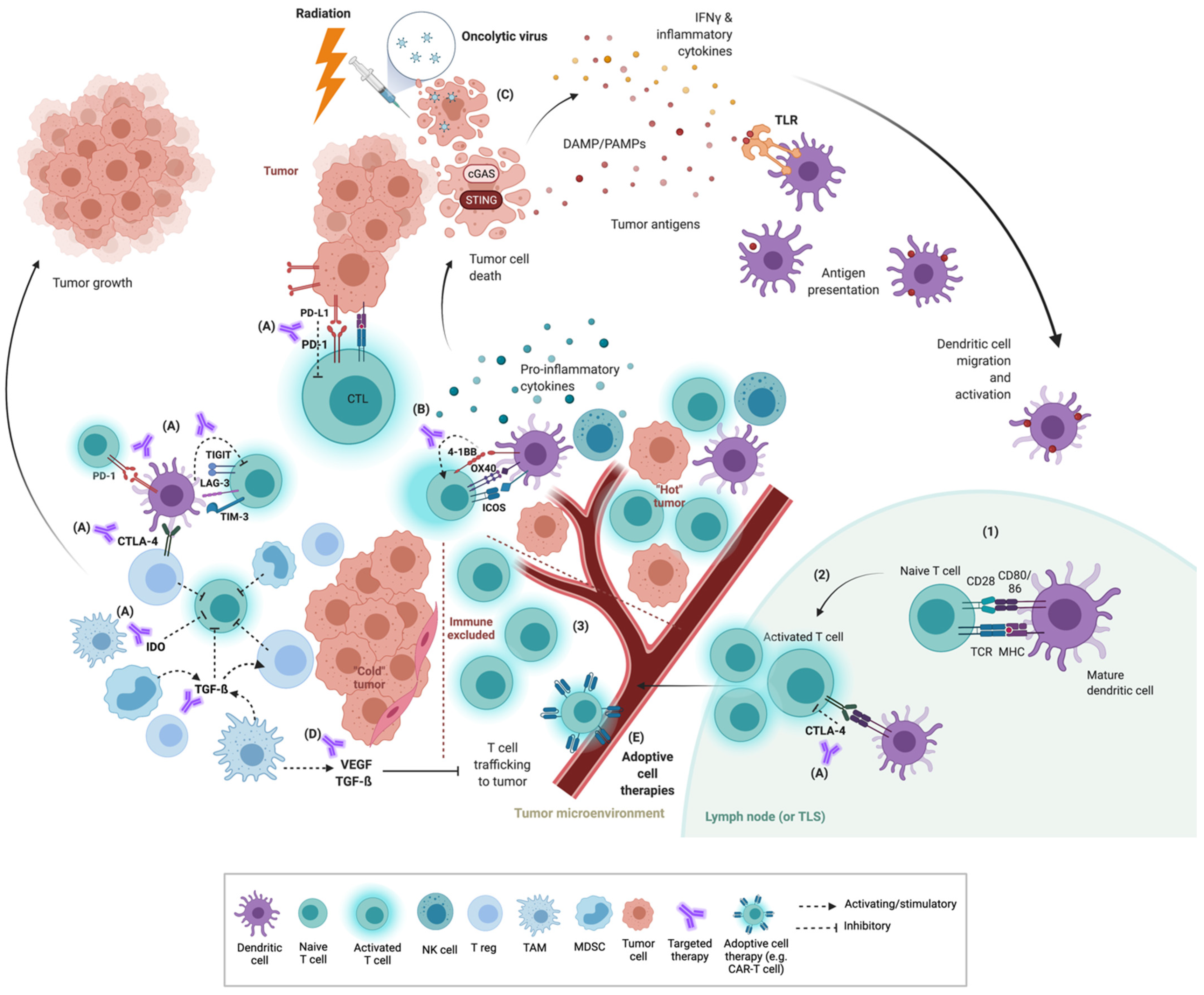 Curroncol 29 00004 g001