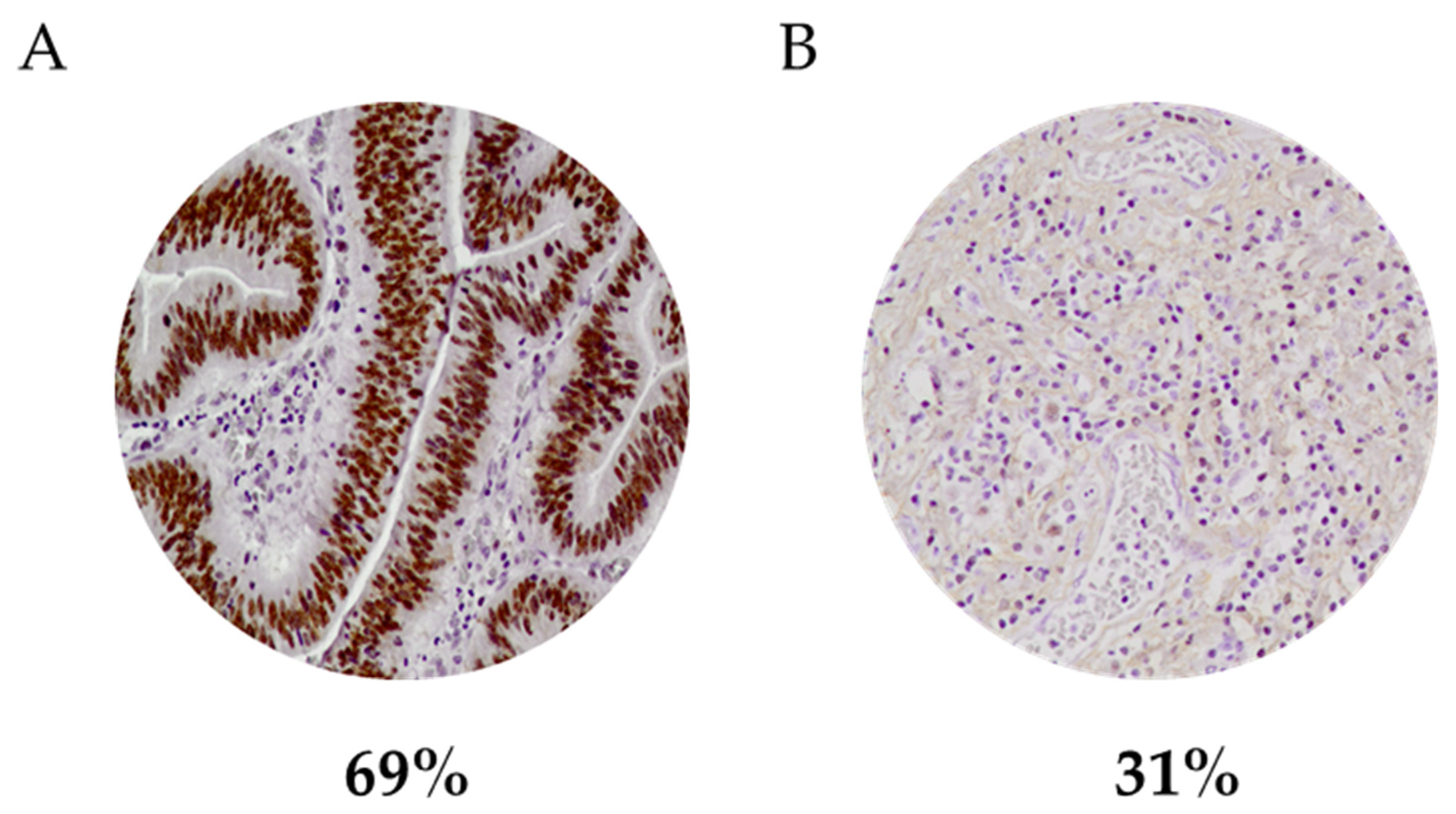 Curroncol 29 00005 g001