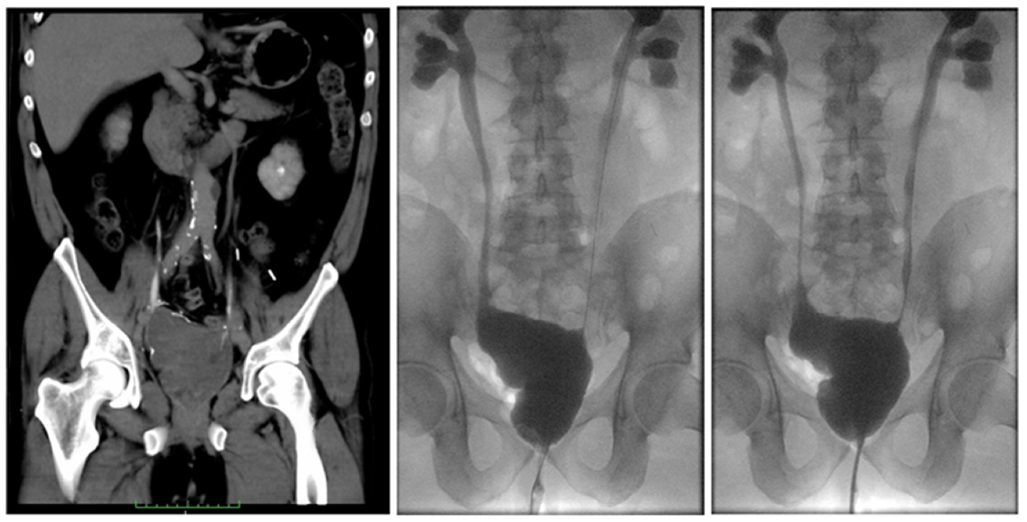 Curroncol 29 00014 g004