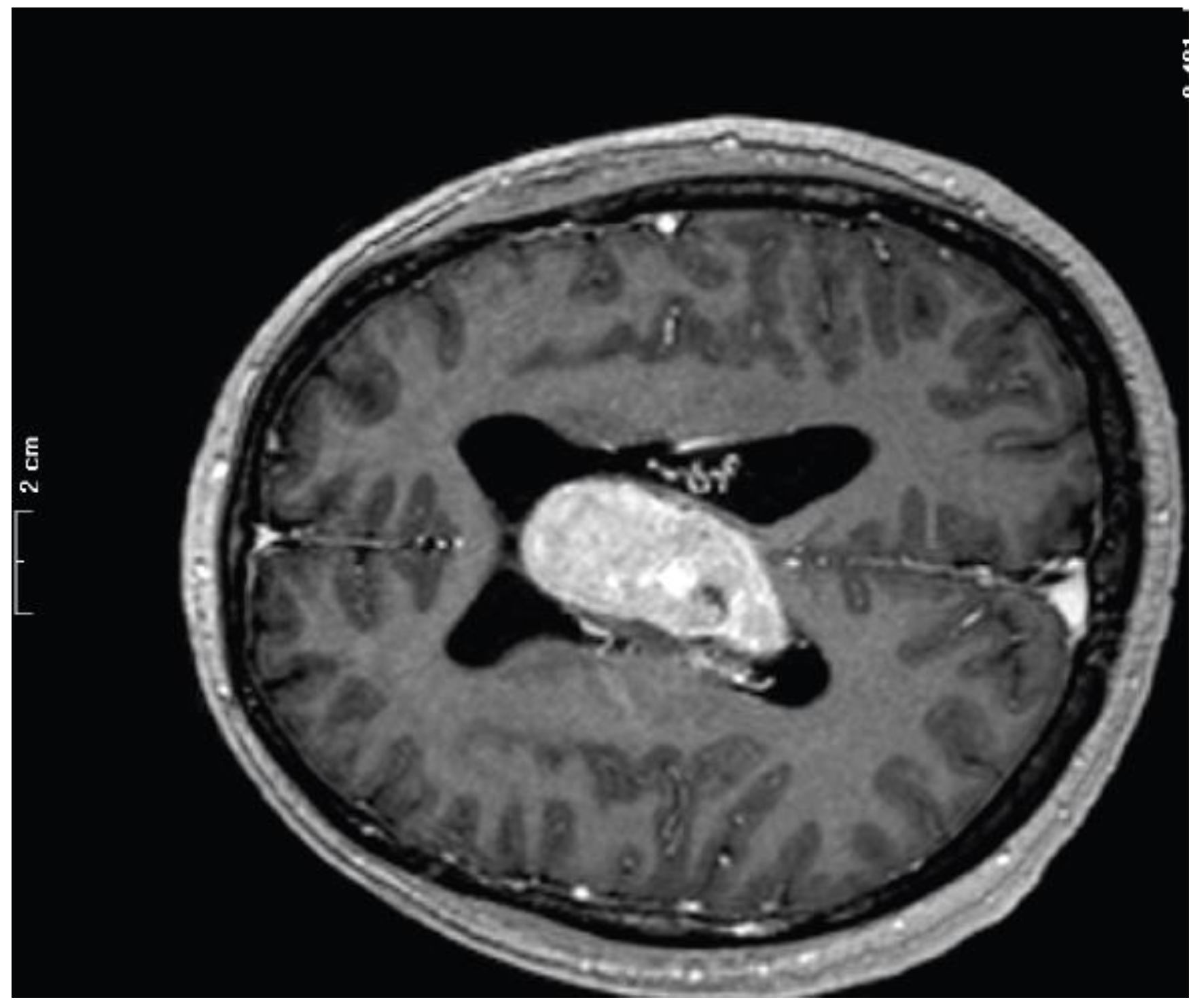 Curroncol 29 00017 g002 Curroncol 29 00017 g002