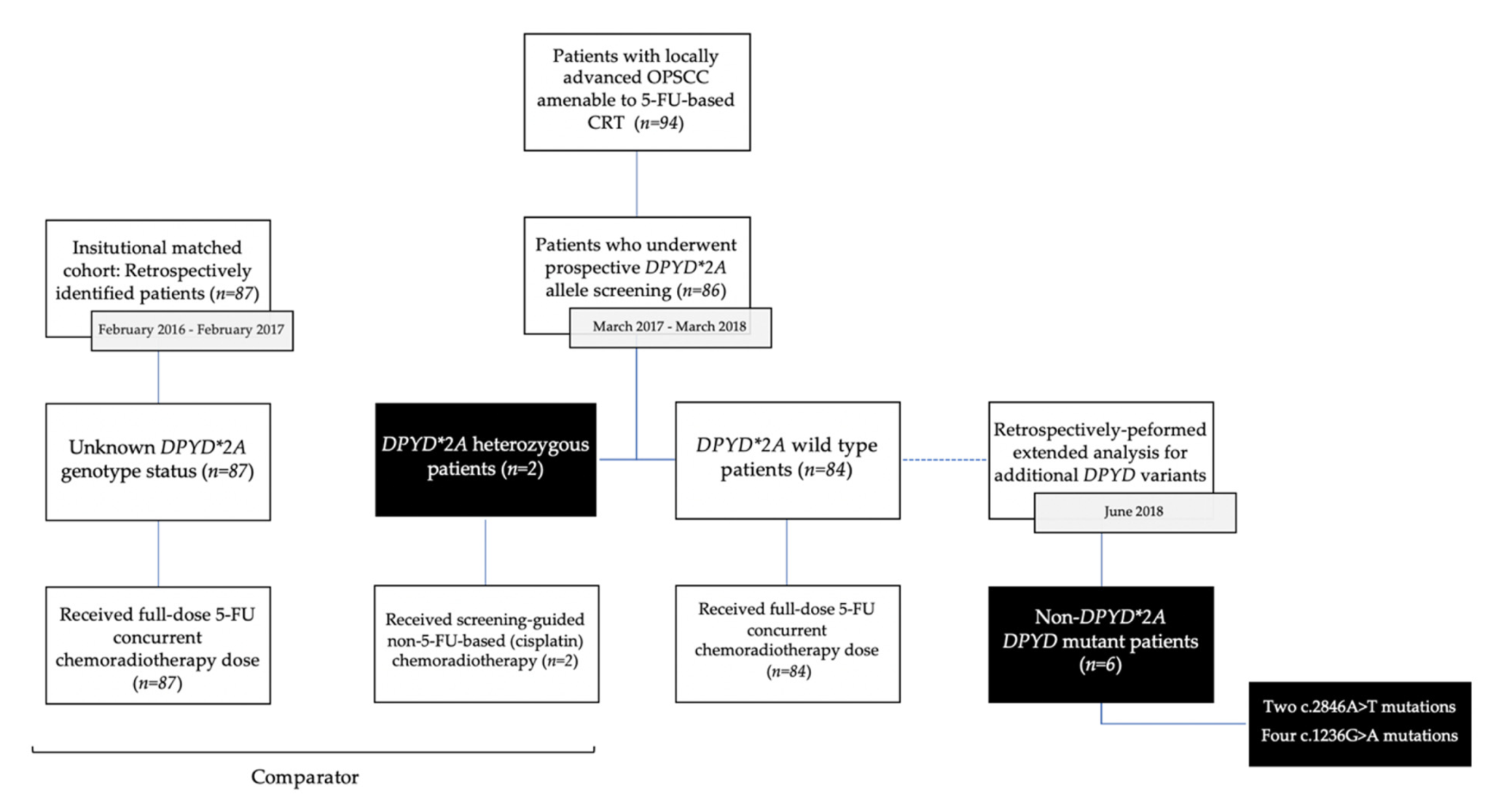 Curroncol 29 00045 g001