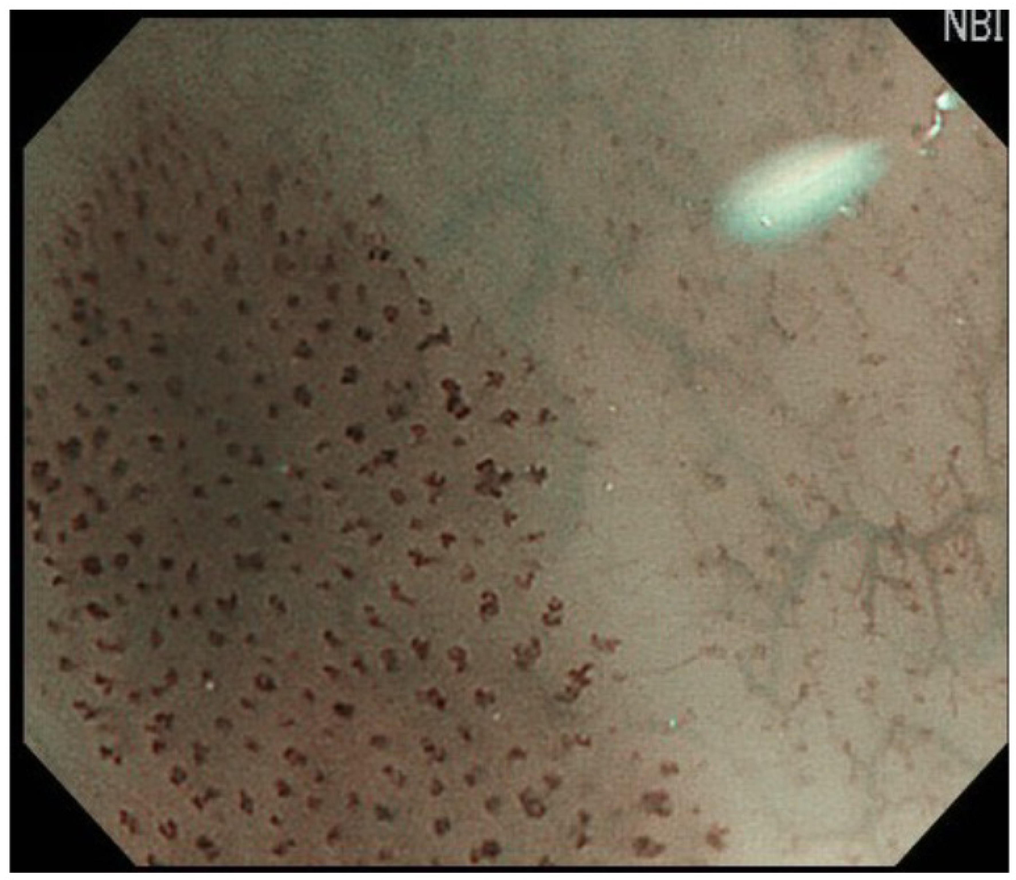 Curroncol 29 00048 g001 Curroncol 29 00048 g001