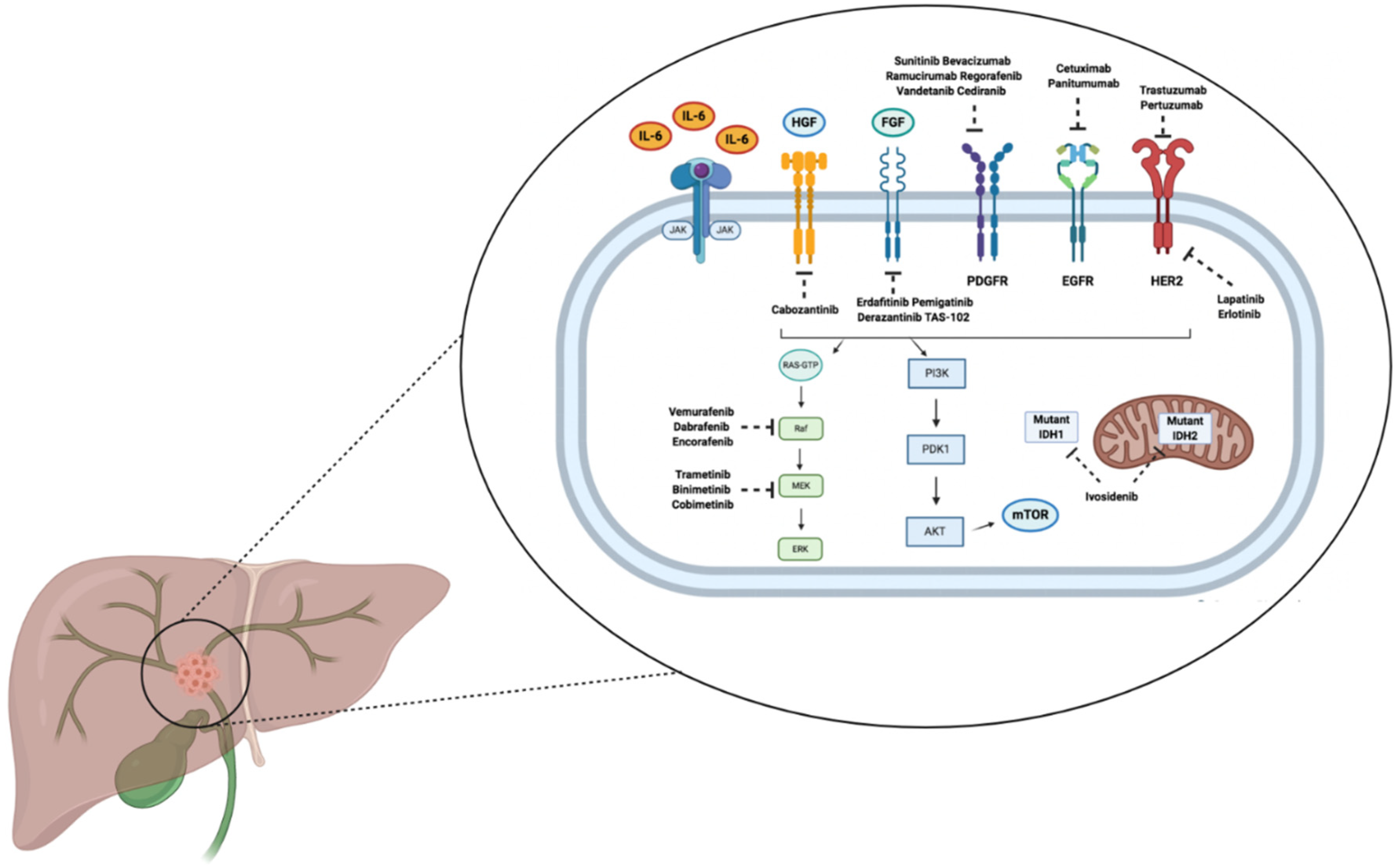 Curroncol 29 00050 g001 550