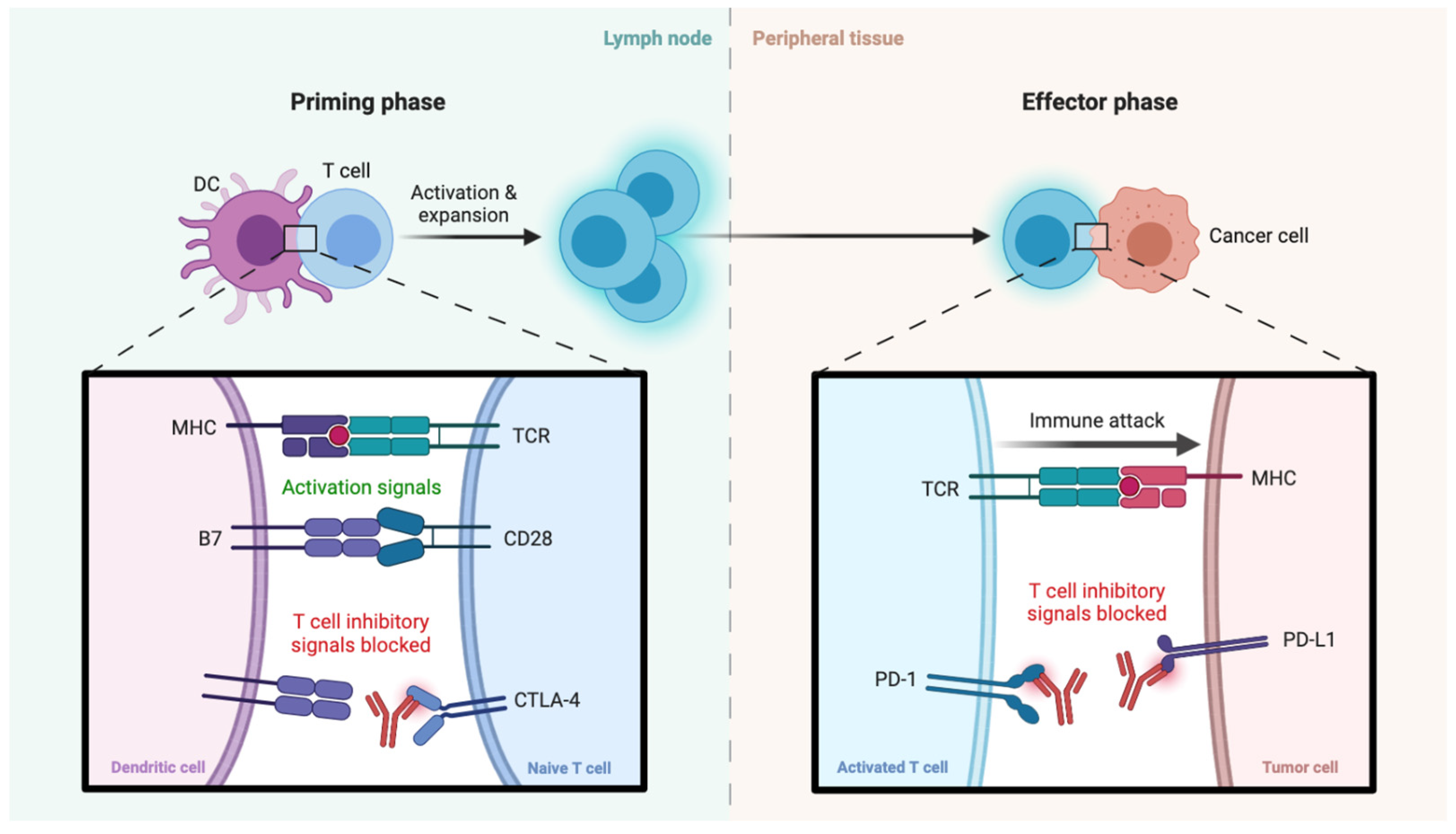 Curroncol 29 00050 g002 550