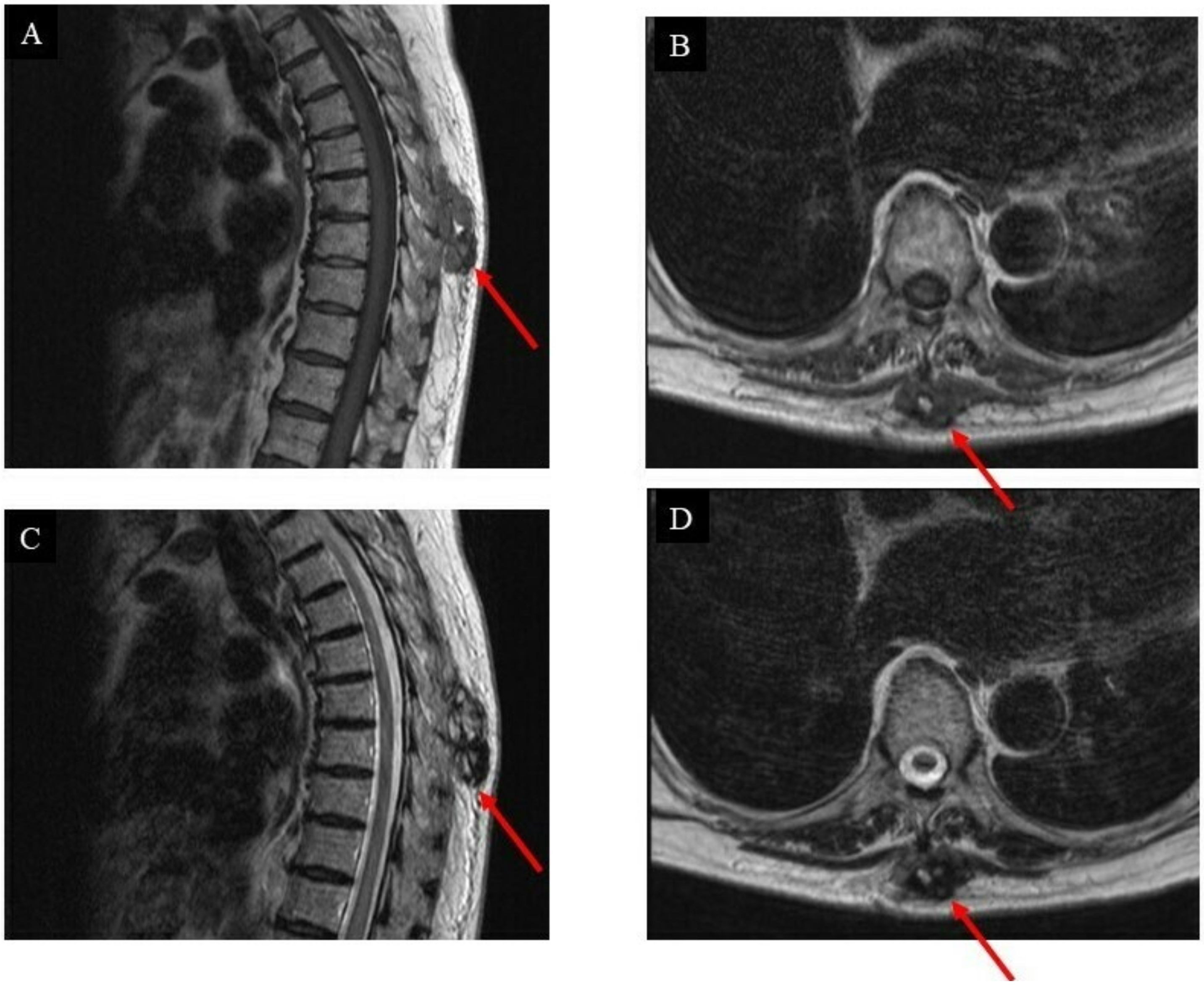 Curroncol 29 00064 g002 Curroncol 29 00064 g002