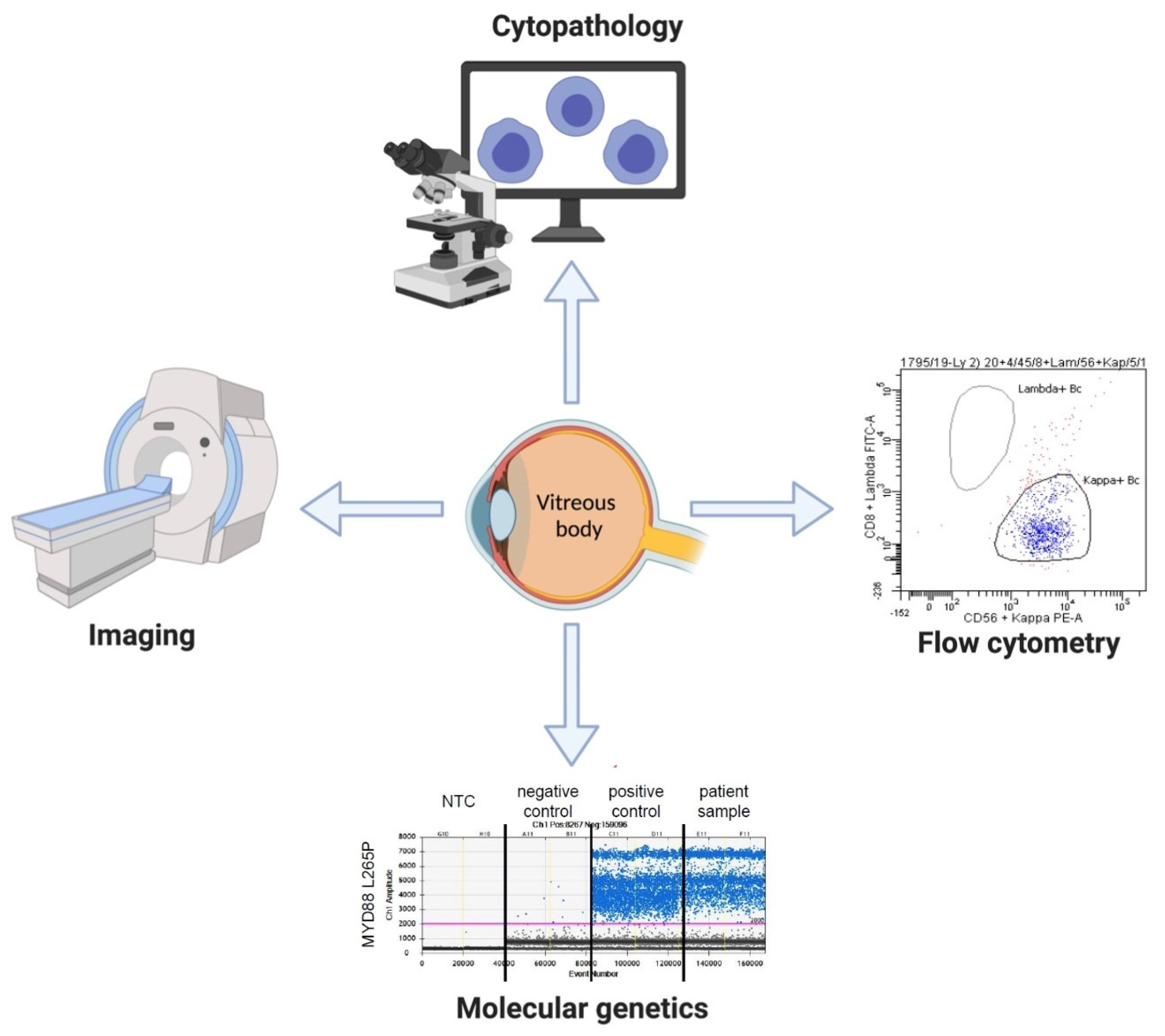 Curroncol 29 00065 g001 550