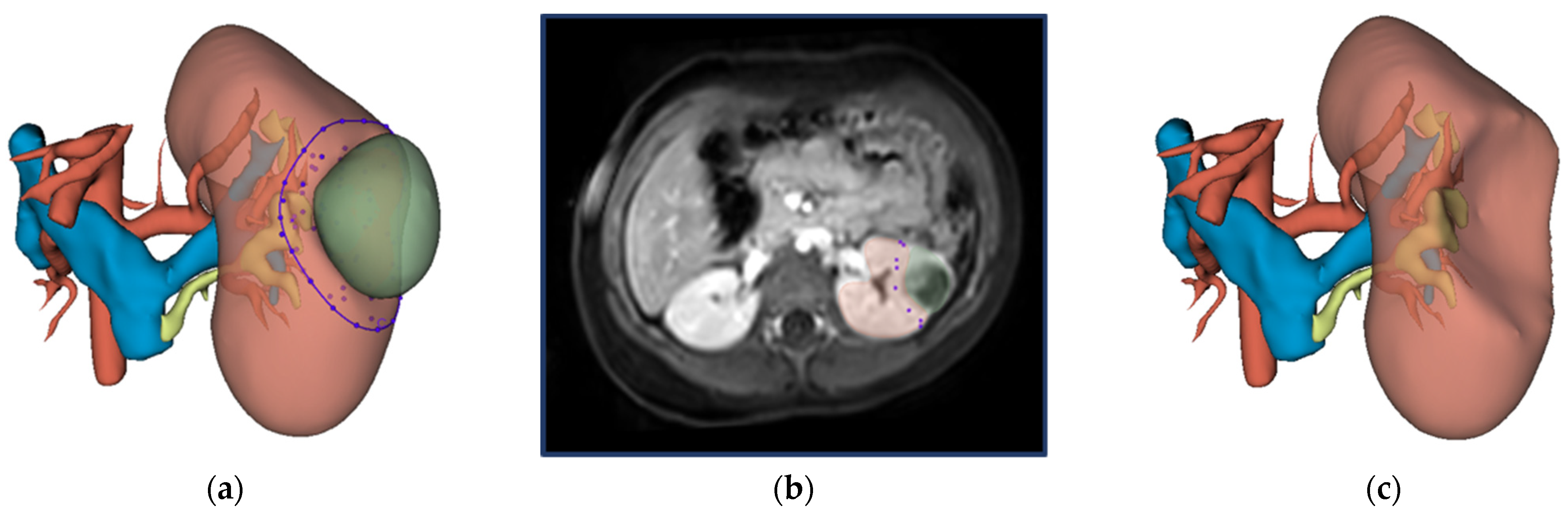 Curroncol 29 00066 g001