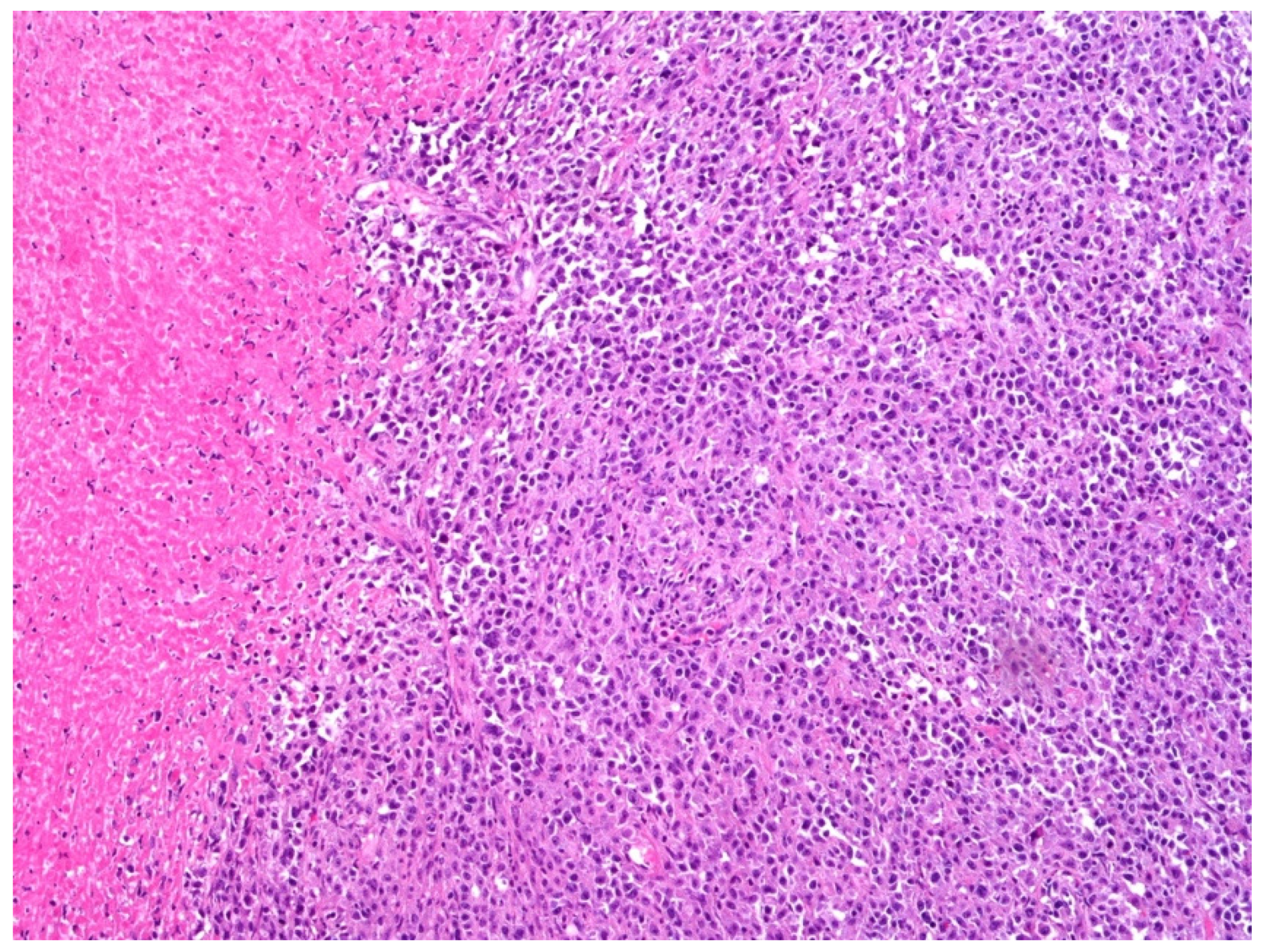 Curroncol 29 00081 g002