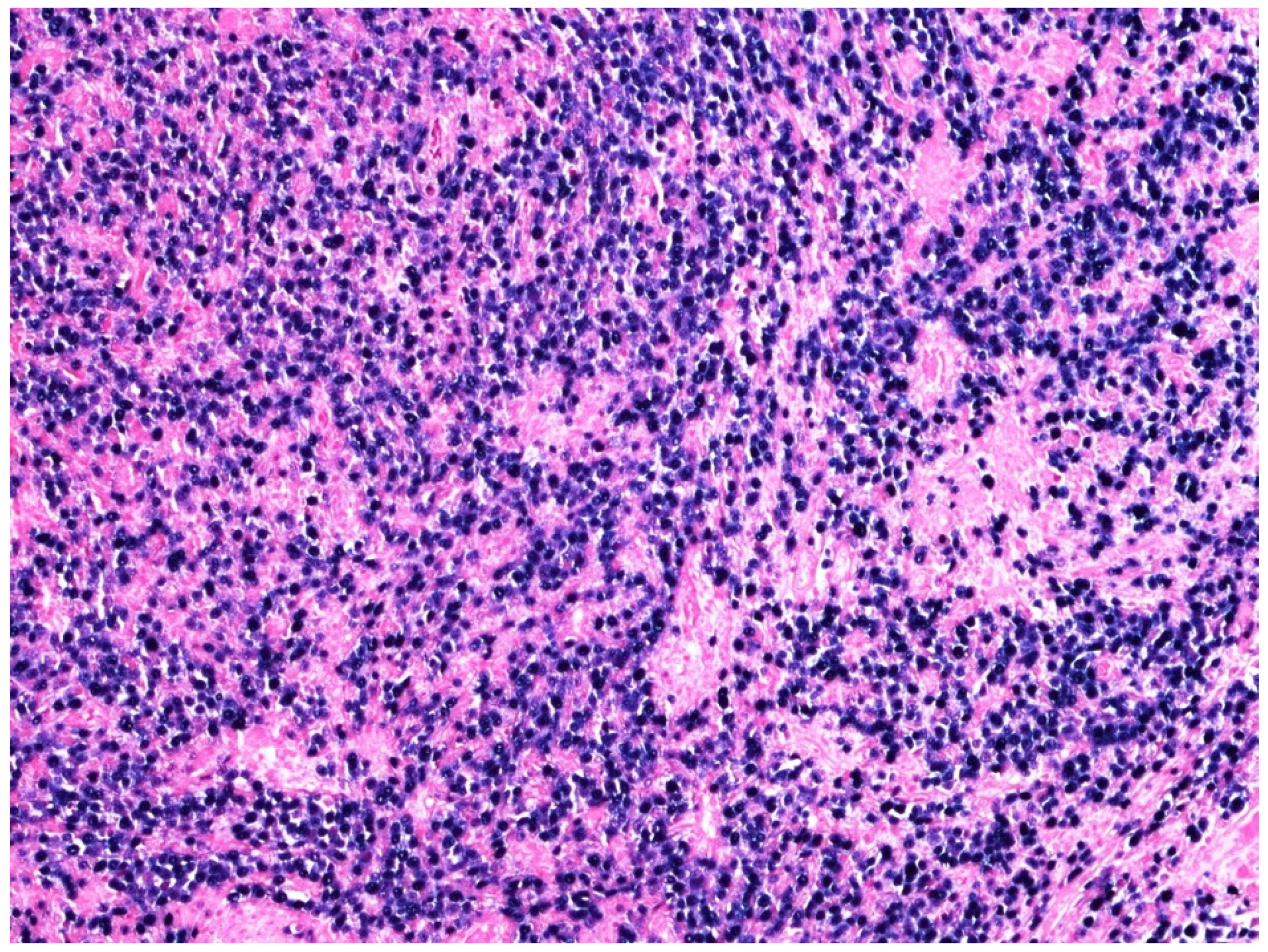 Curroncol 29 00081 g004