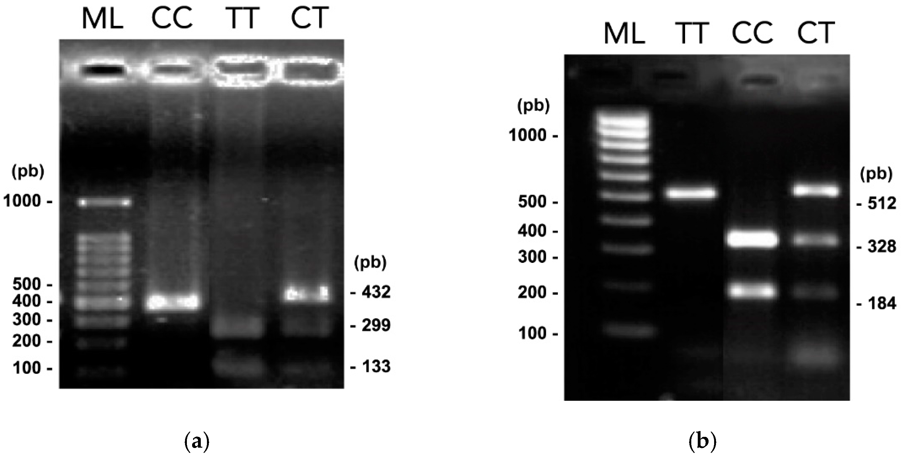 Curroncol 29 00086 g001