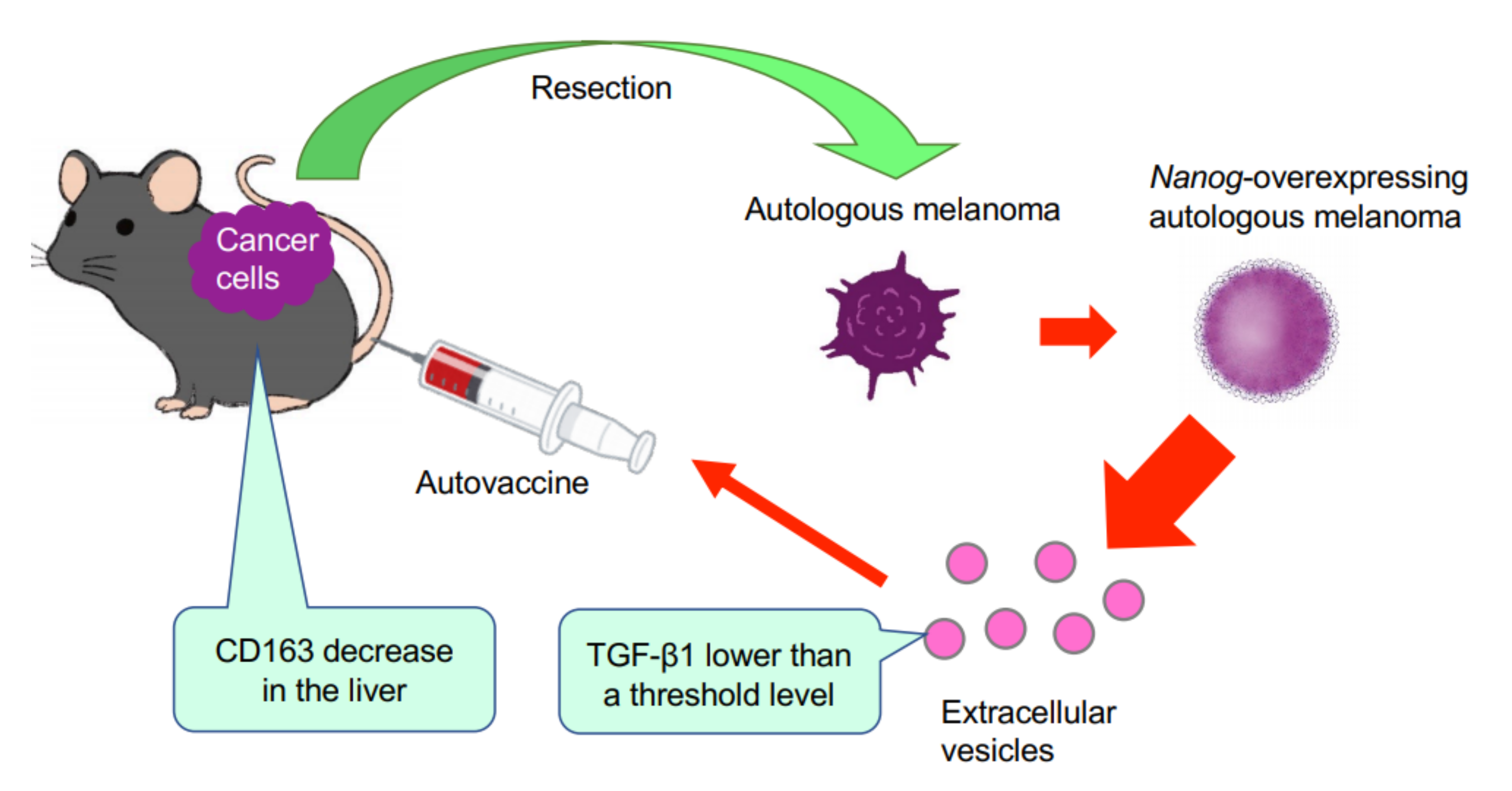 Curroncol 29 00088 g006 550