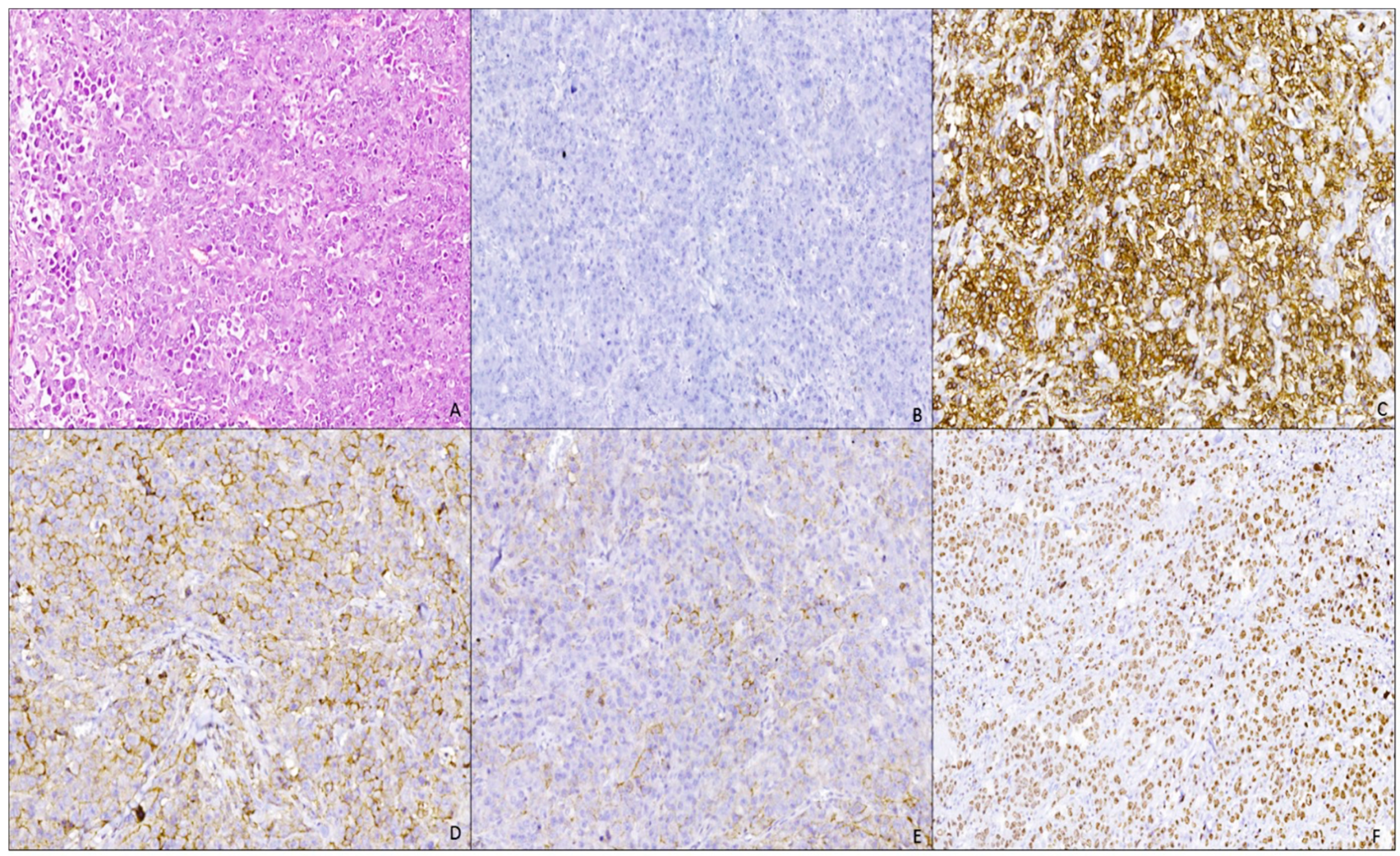 Curroncol 29 00129 g002 550