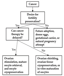 Curroncol 29 00133 i001 Curroncol 29 00133 i001
