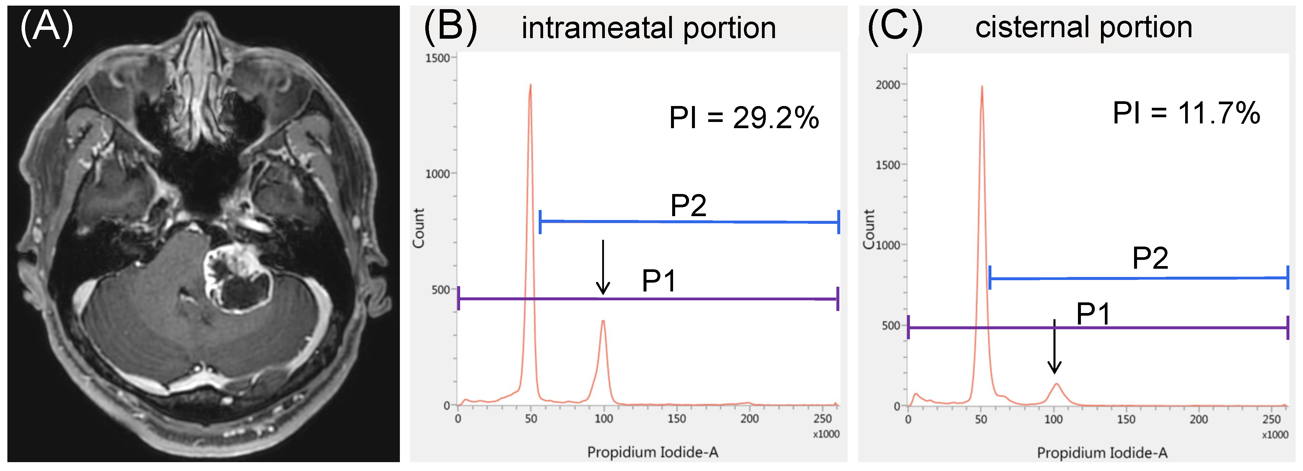 Curroncol 29 00134 g003