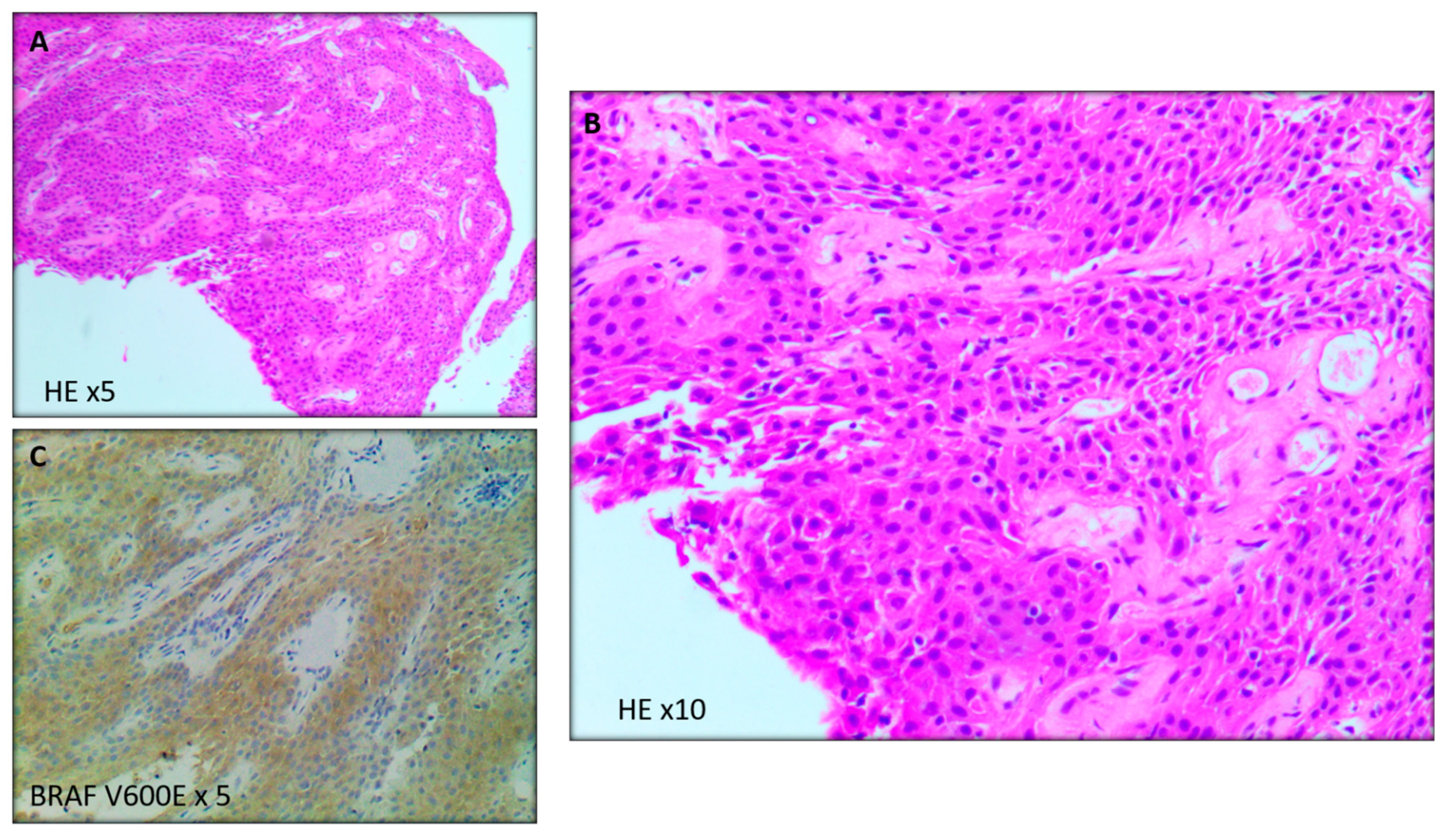 Curroncol 29 00138 g003 Curroncol 29 00138 g003