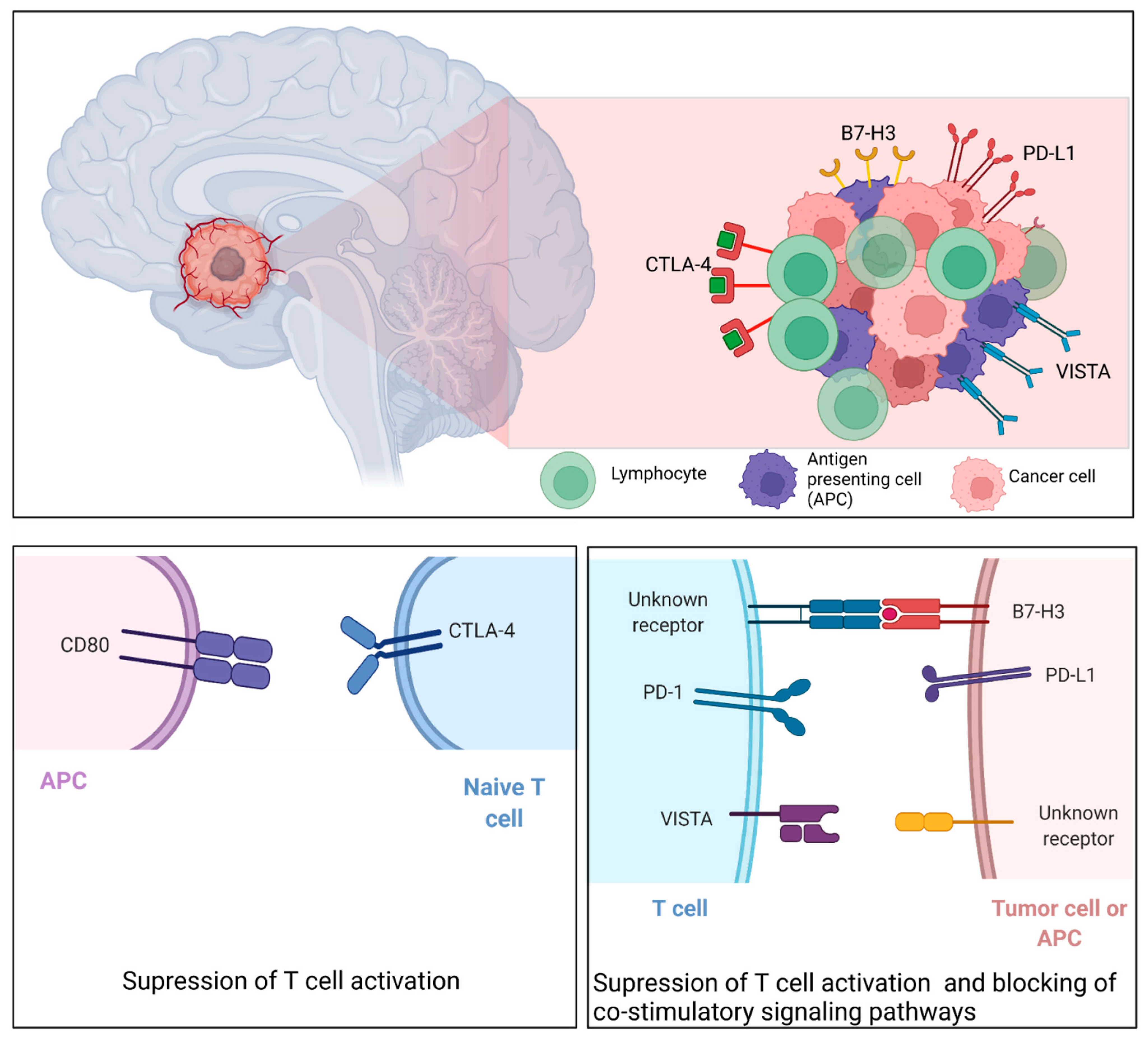 Curroncol 29 00138 g007 Curroncol 29 00138 g007