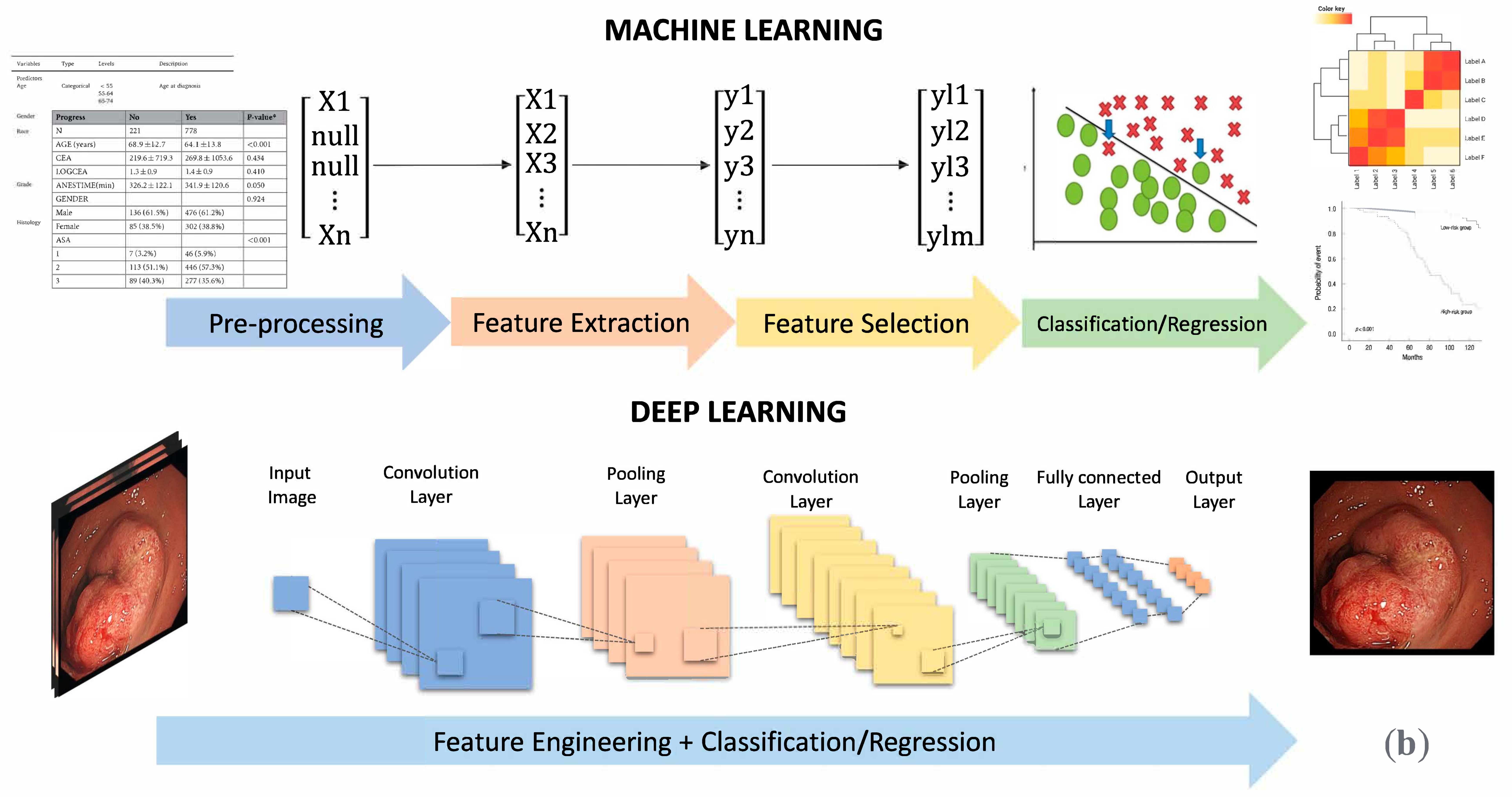 Curroncol 29 00146 g002b