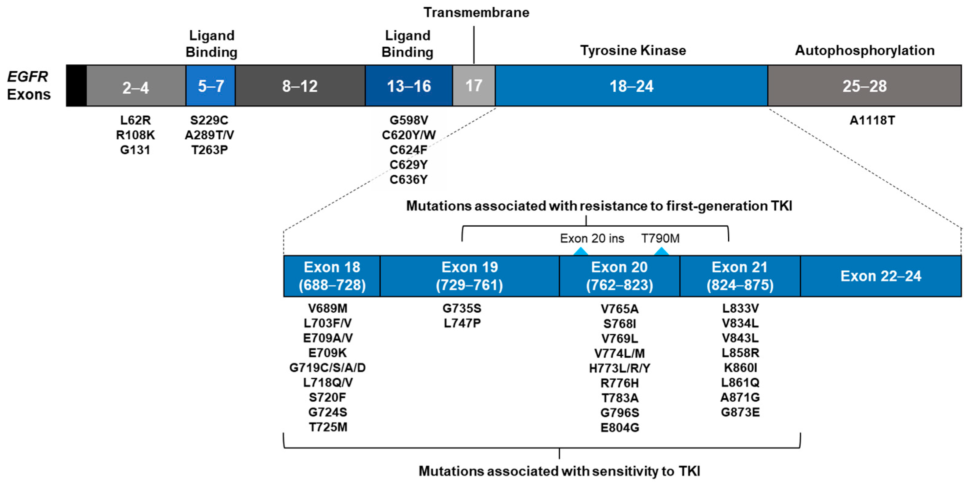 Curroncol 29 00174 g004