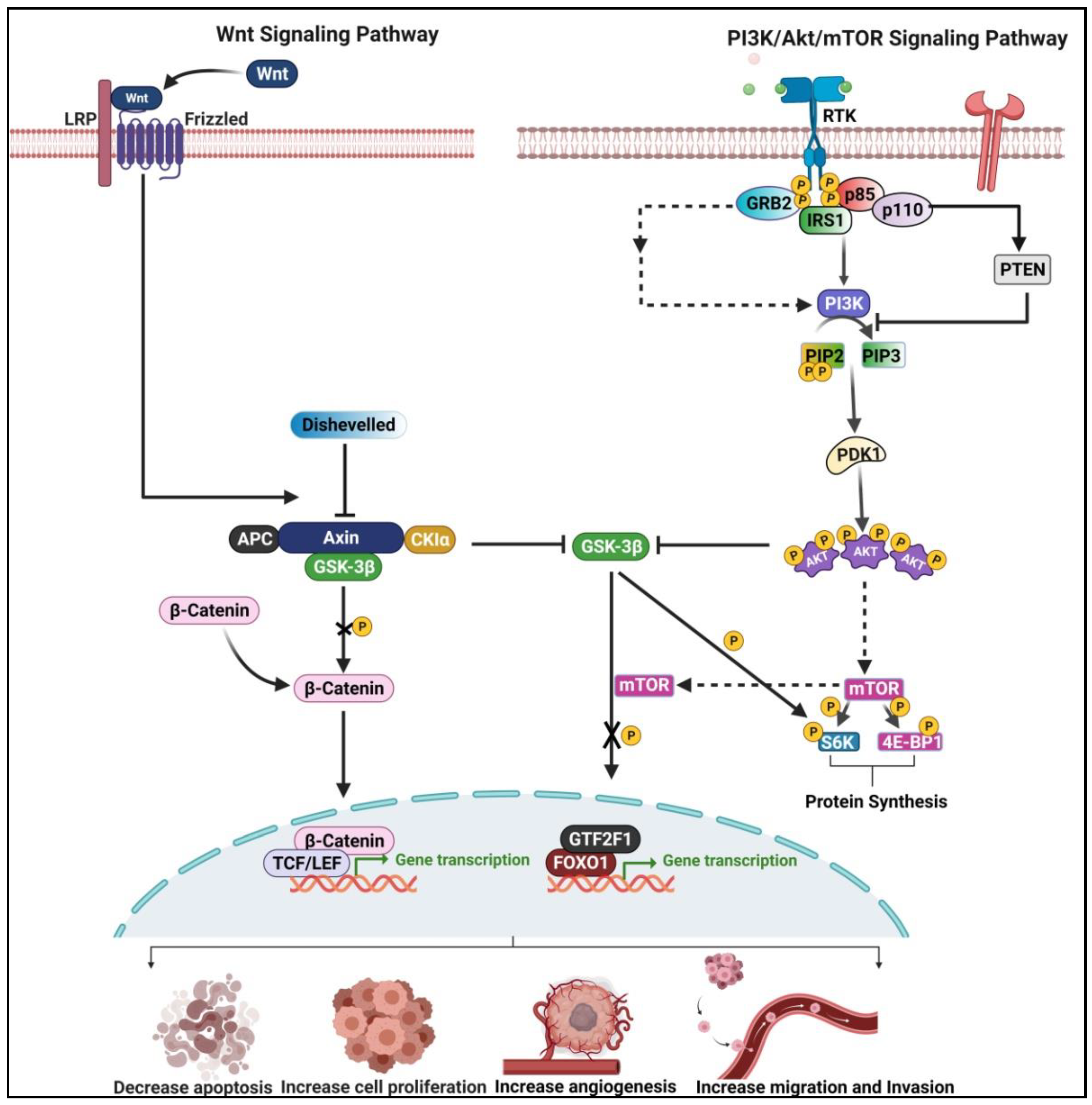 Curroncol 29 00189 g007
