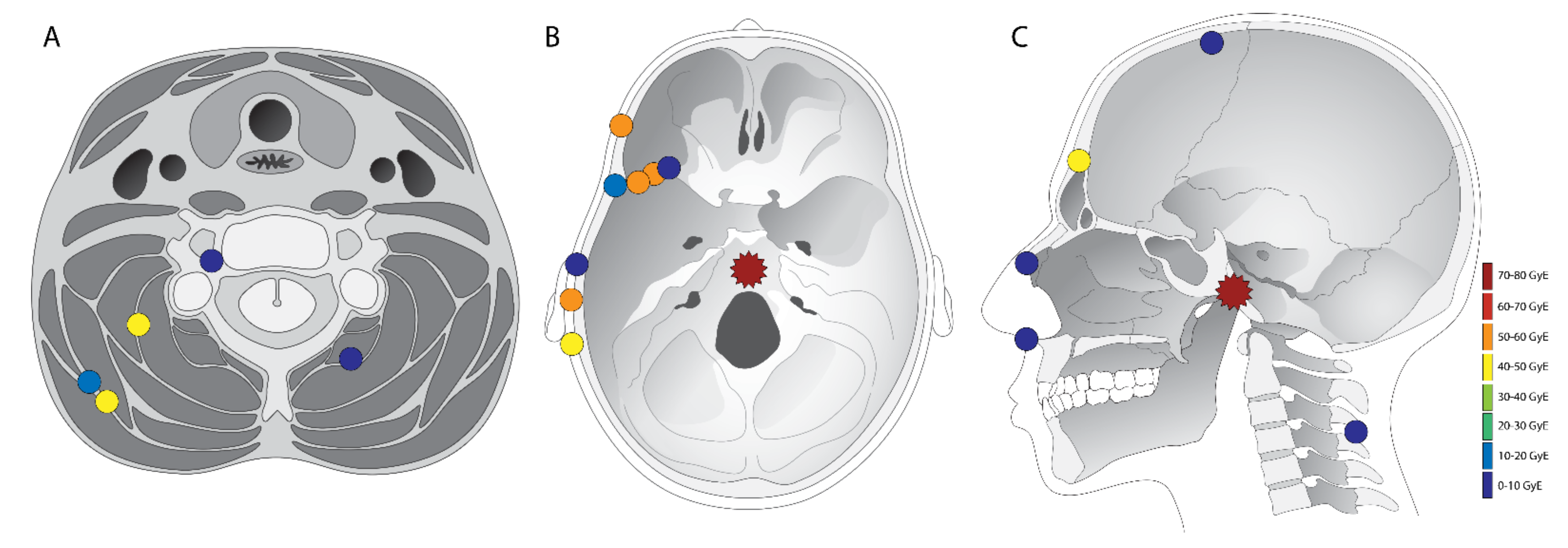 Curroncol 29 00191 g002