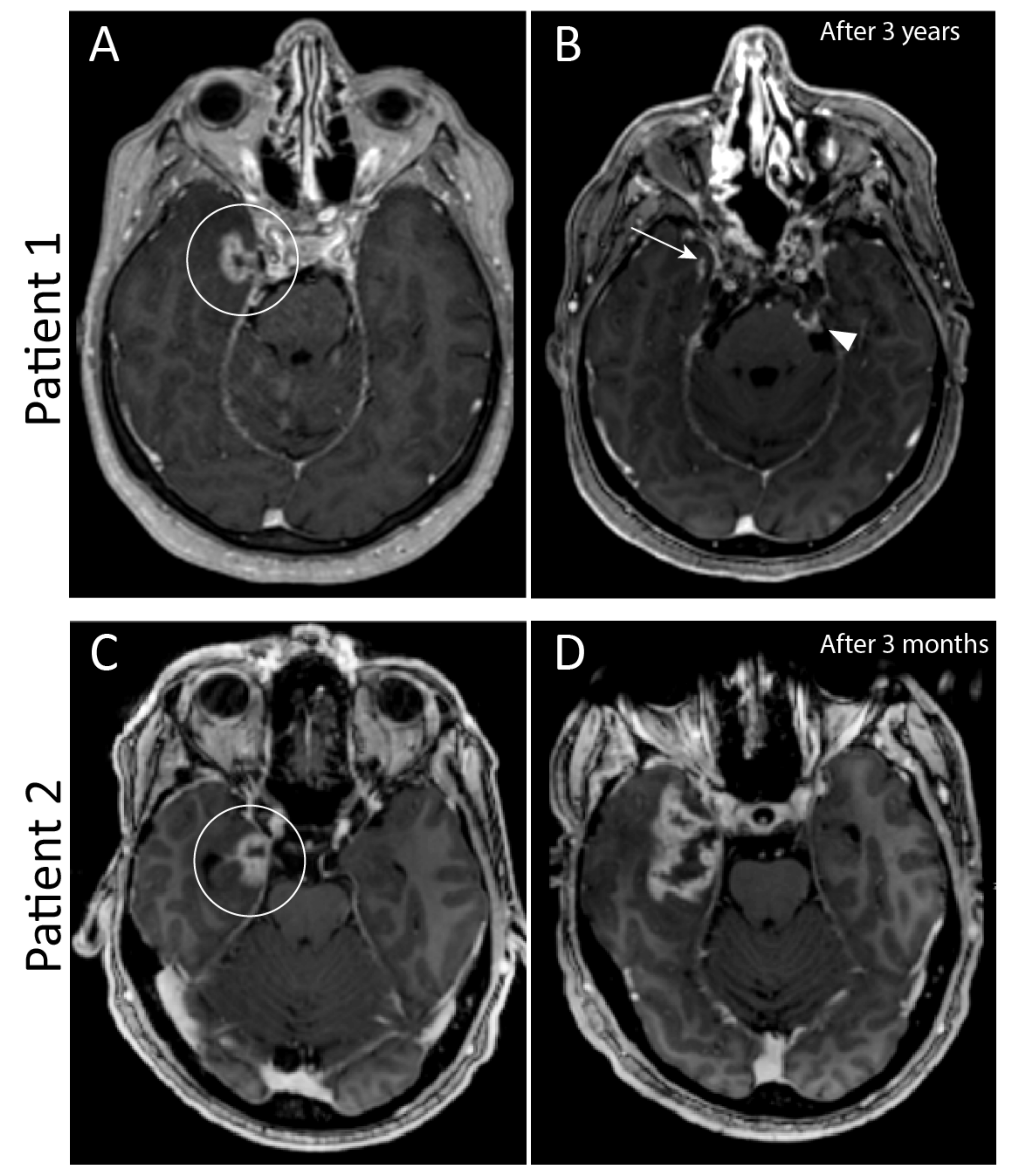Curroncol 29 00191 g004