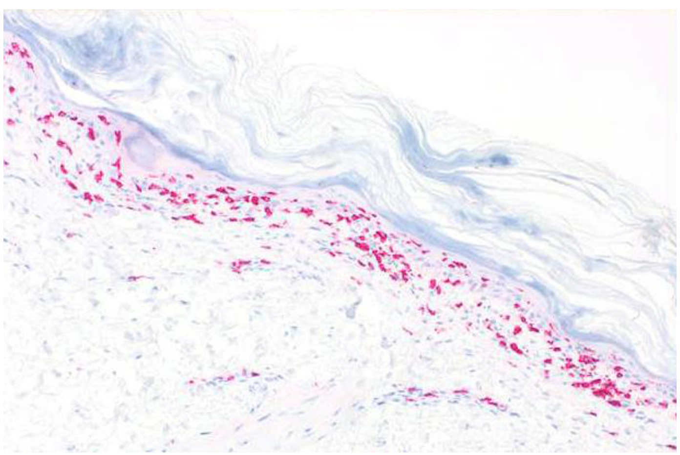 Curroncol 29 00194 g006 550