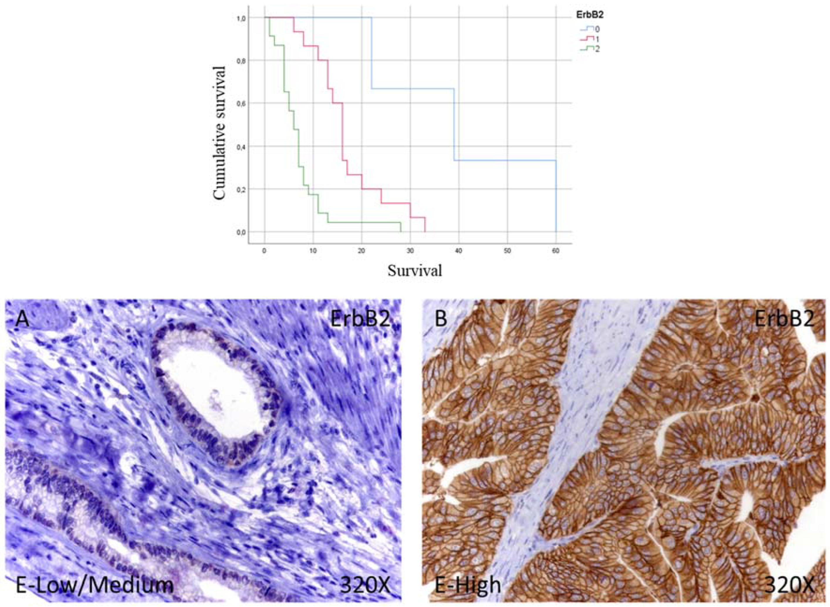 Curroncol 29 00198 g003