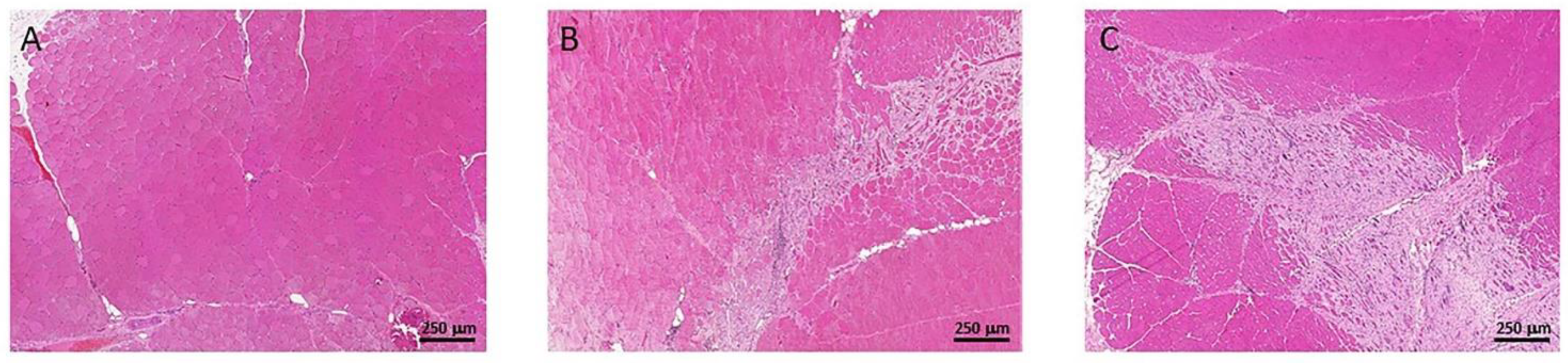 Curroncol 29 00217 g003