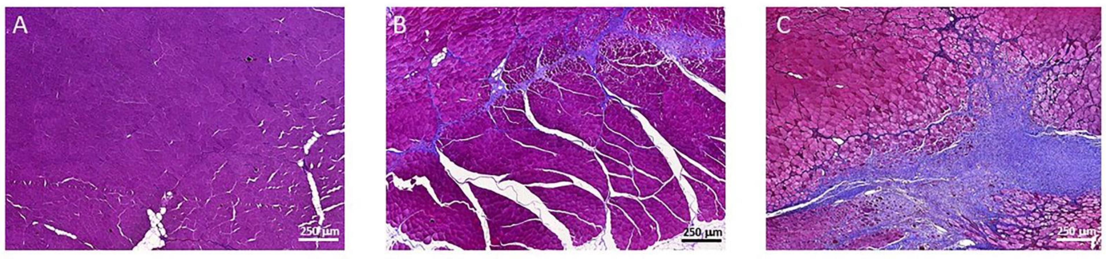 Curroncol 29 00217 g004