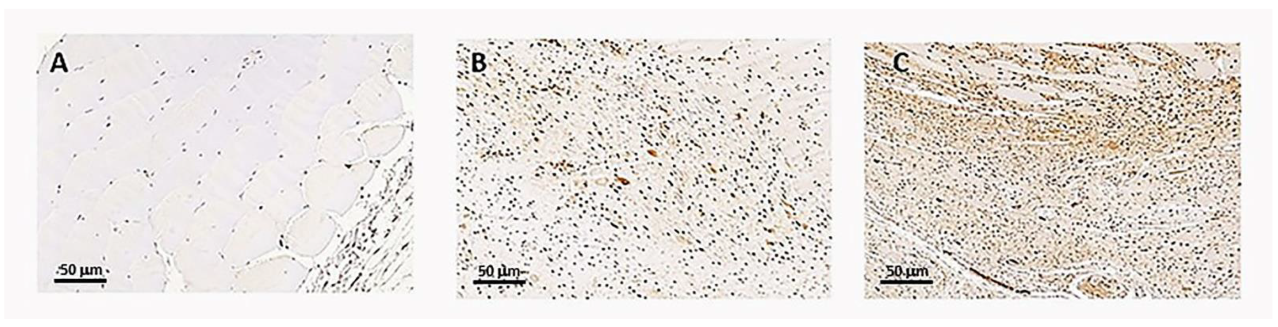 Curroncol 29 00217 g007