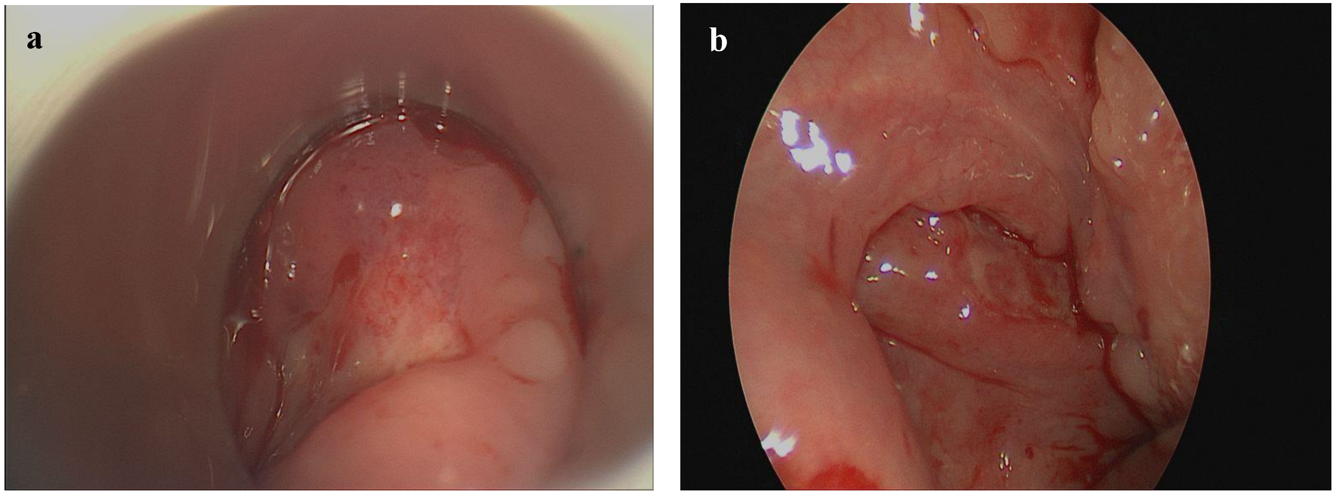 Curroncol 29 00224 g001