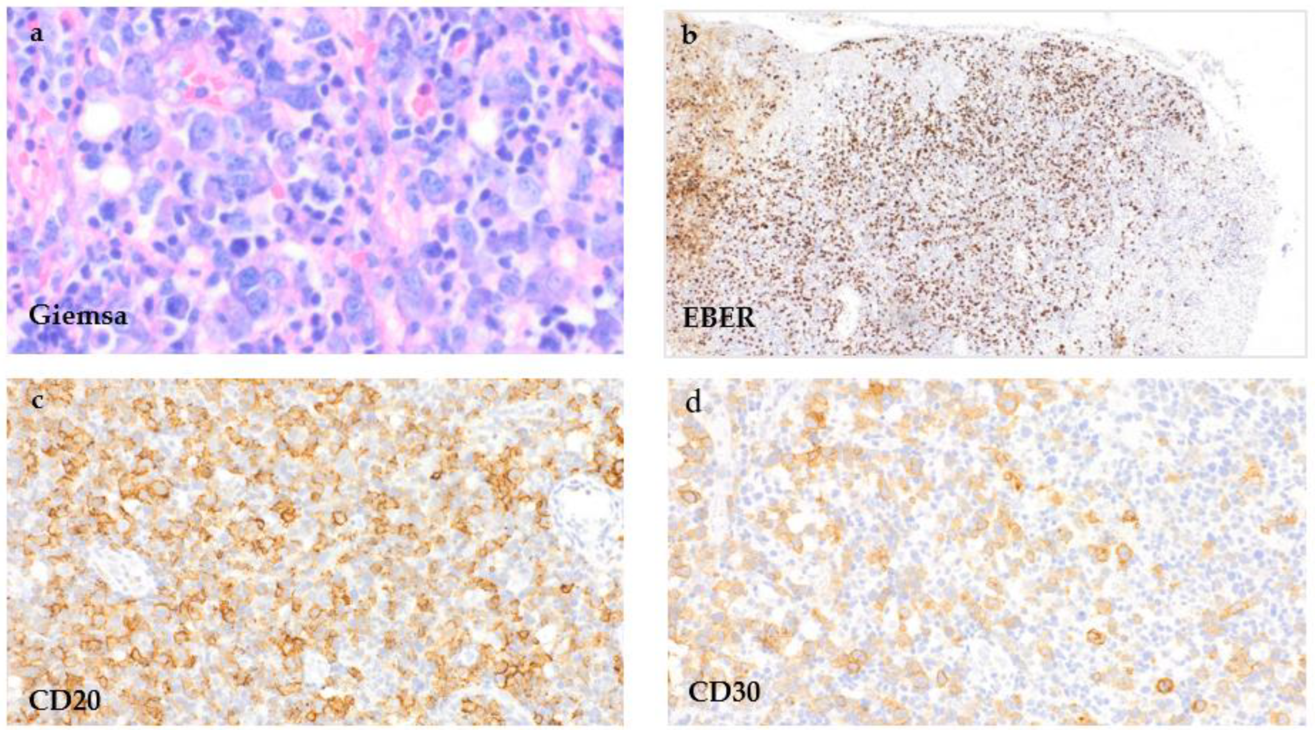 Curroncol 29 00224 g003