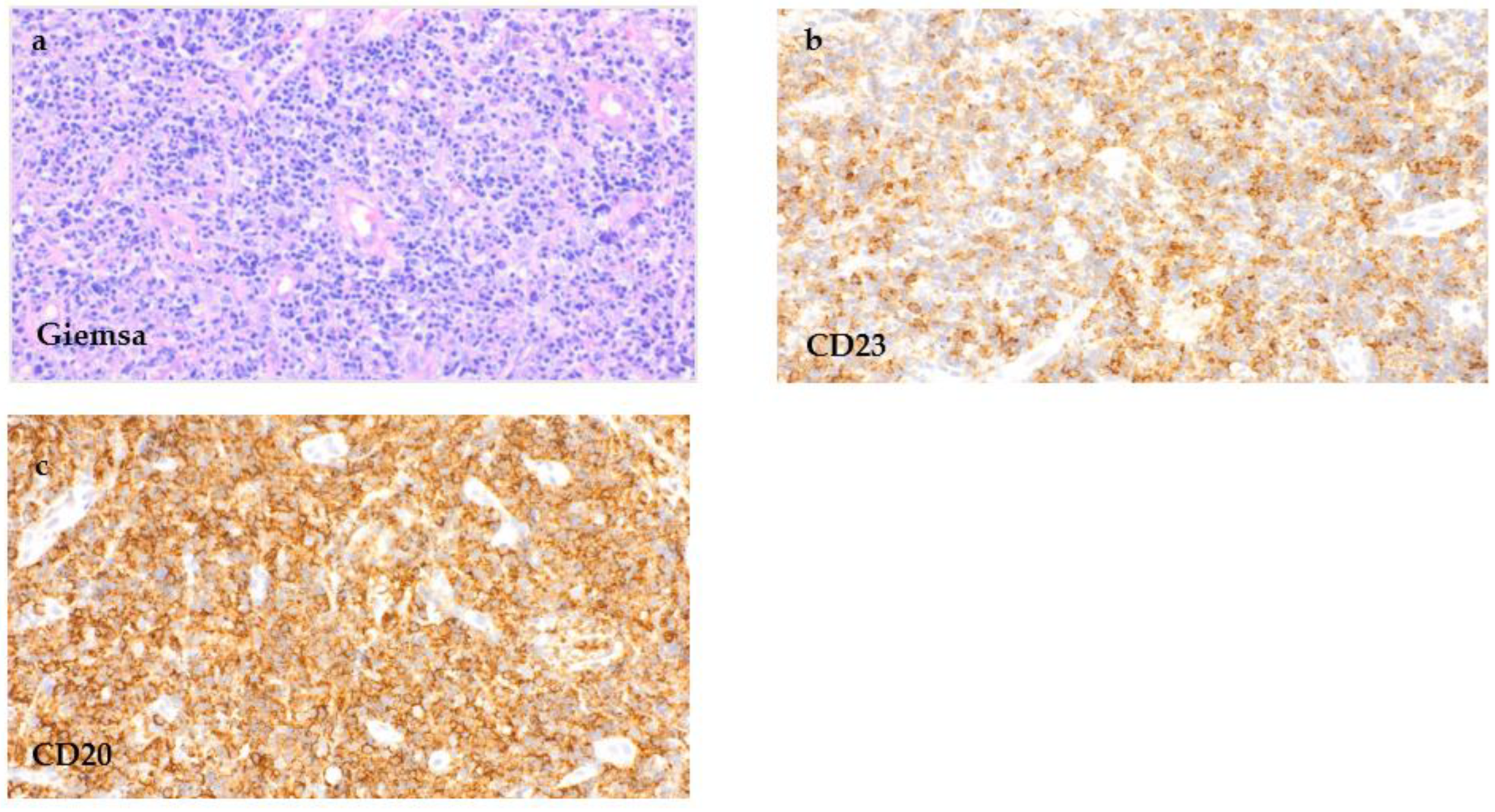 Curroncol 29 00224 g004