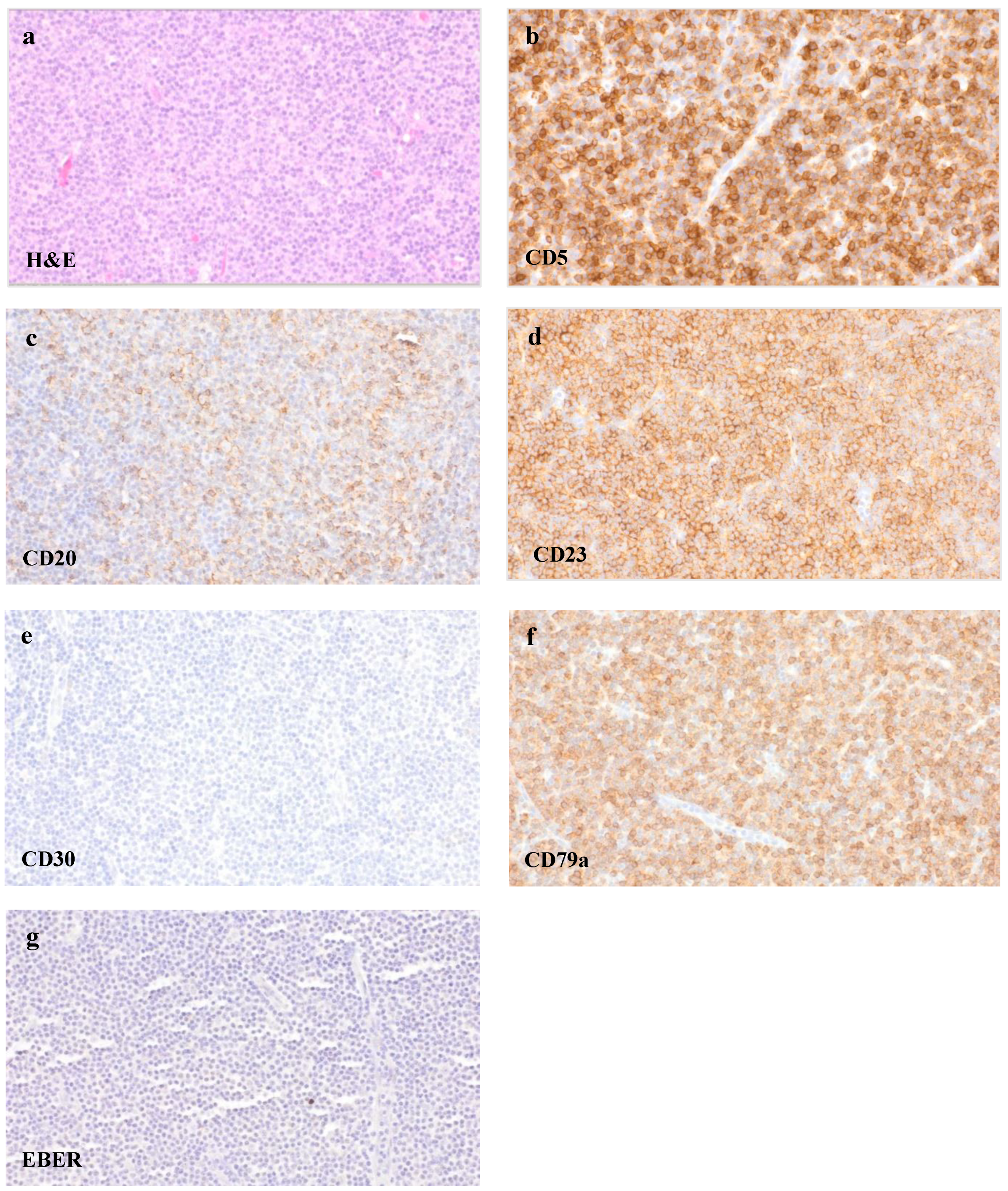 Curroncol 29 00224 g005