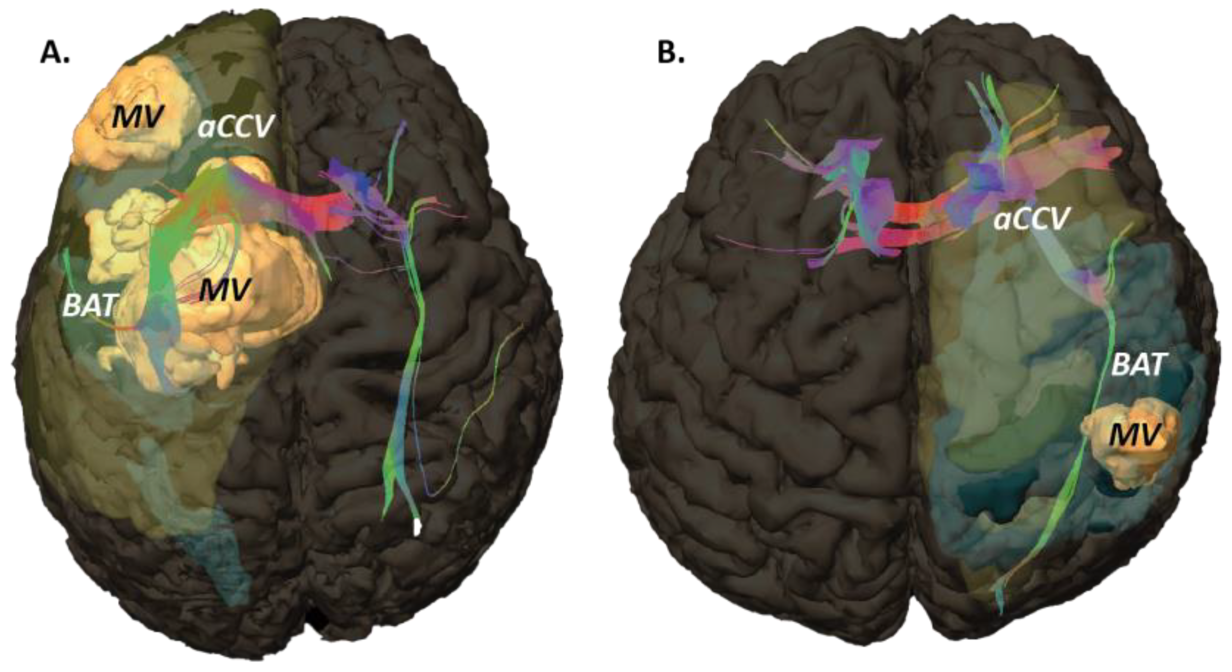 Curroncol 29 00230 g003