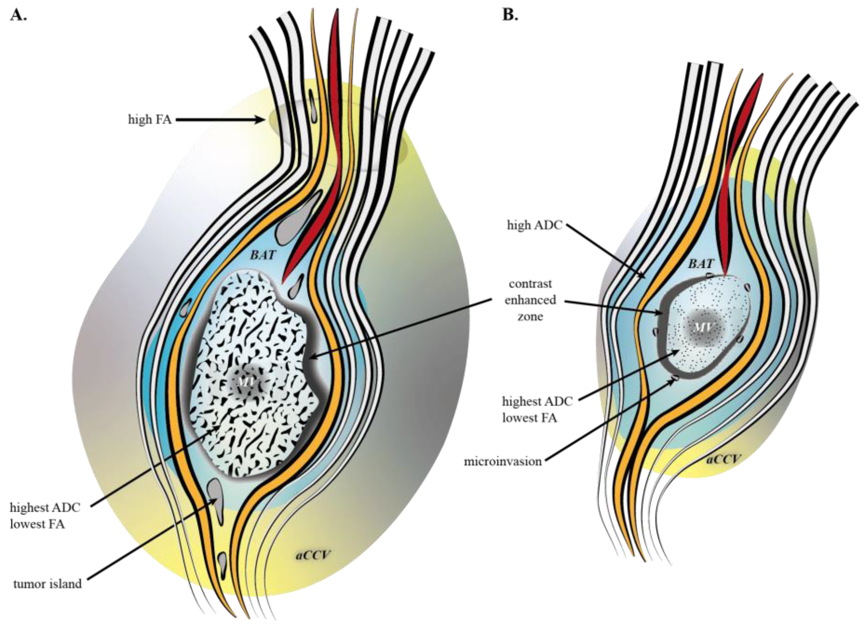 Curroncol 29 00230 g004