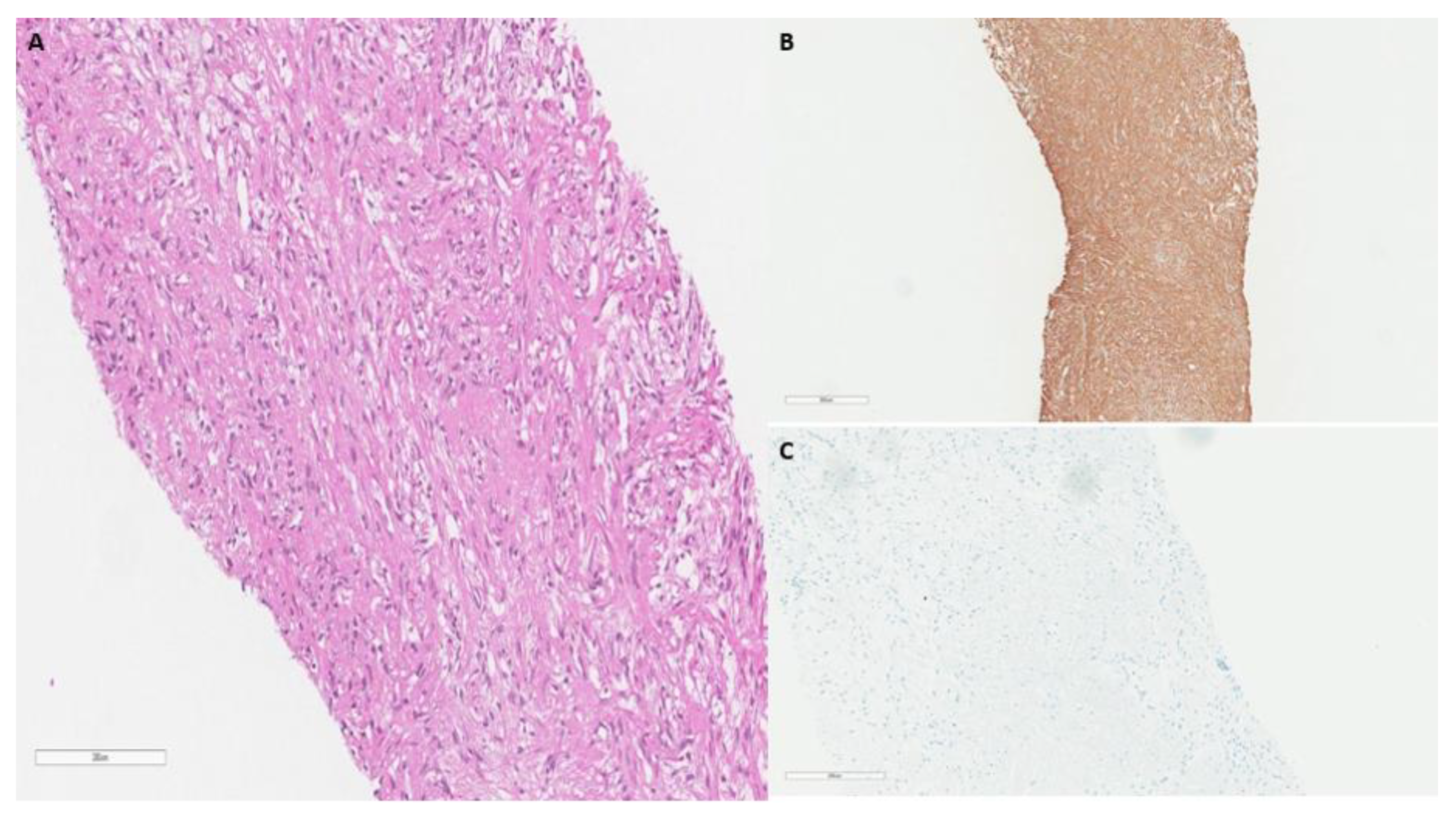 Curroncol 29 00240 g002 Curroncol 29 00240 g002